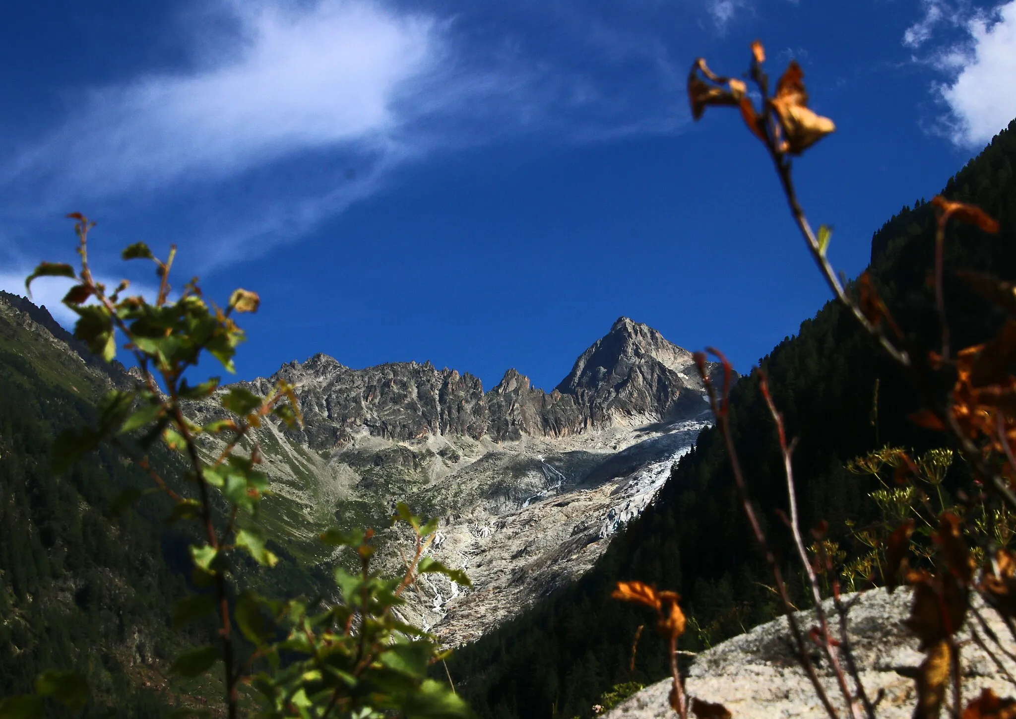 Photo showing: Trient. Dans la descente du Col de Balme.