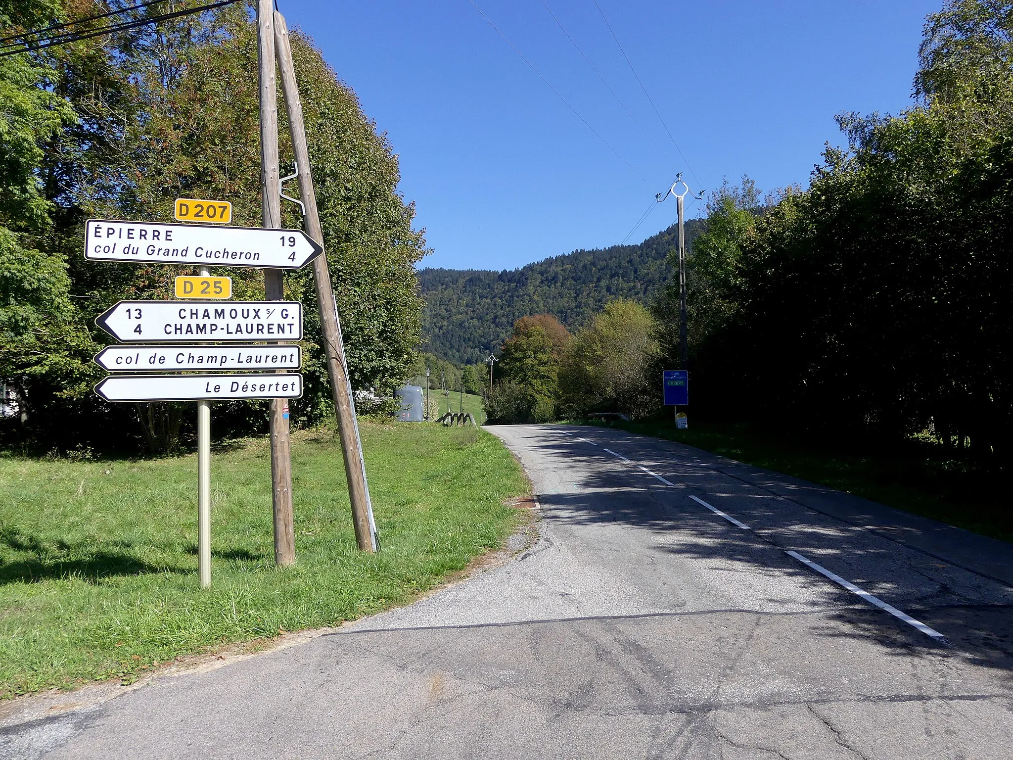 Photo showing: Sight of Route départementale 207 leaving Le Pontet, last village before Col du Grand Cucheron pass, in Savoie, France.