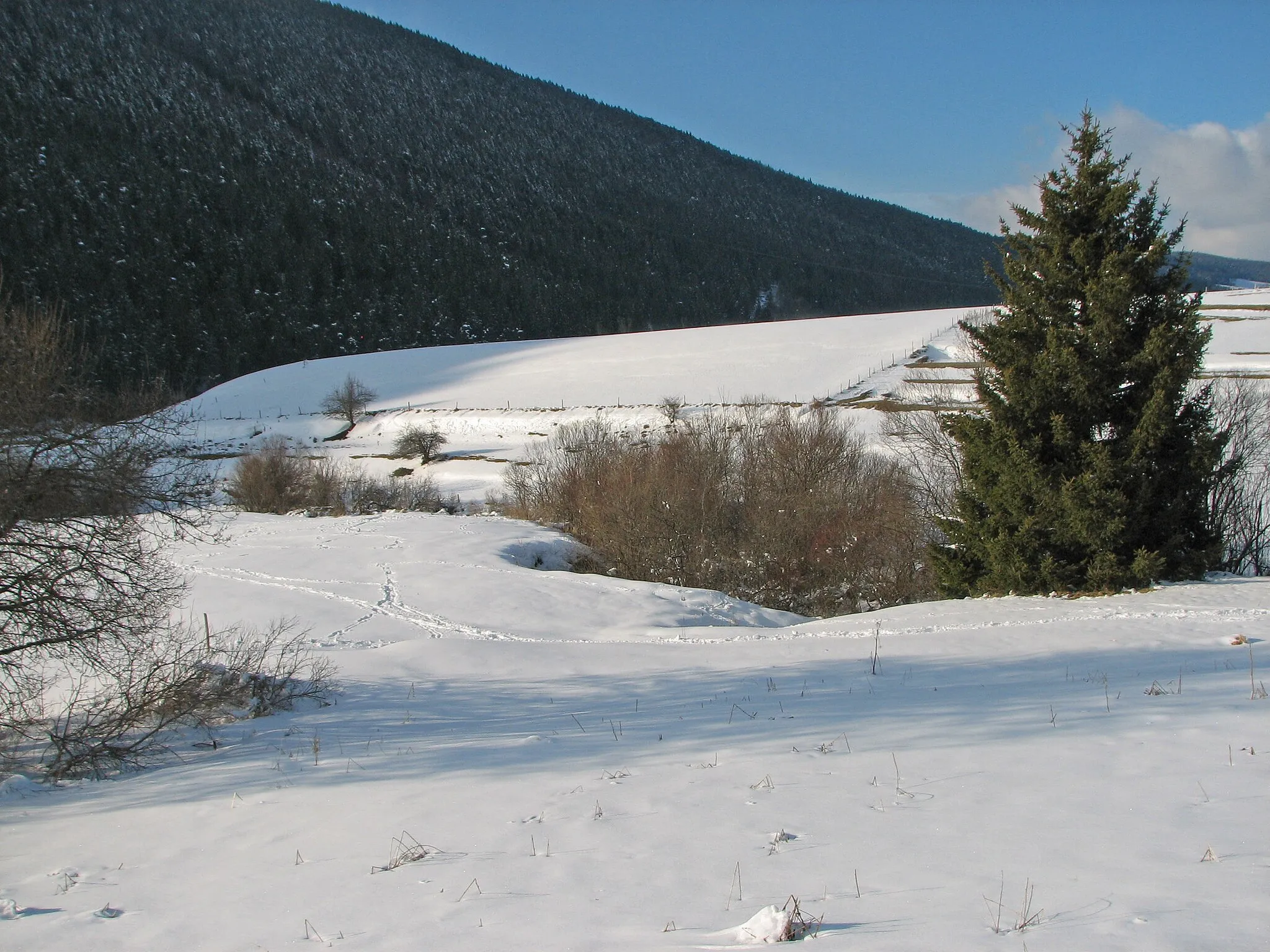 Photo showing: Paysage de neige à Villard-de-Lans (mars 2009)