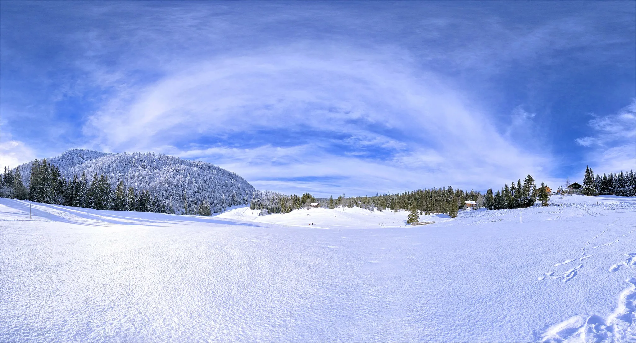 Photo showing: Bois De Couvaloup De St Cergue