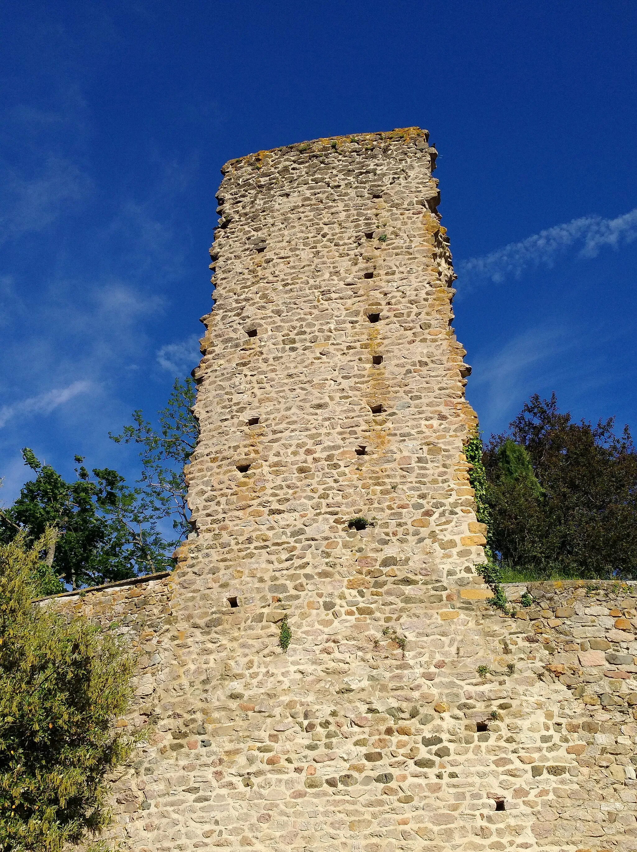 Photo showing: Donjon de Ternand (d'une hauteur de 17 mètres), dans le département du Rhône (France).