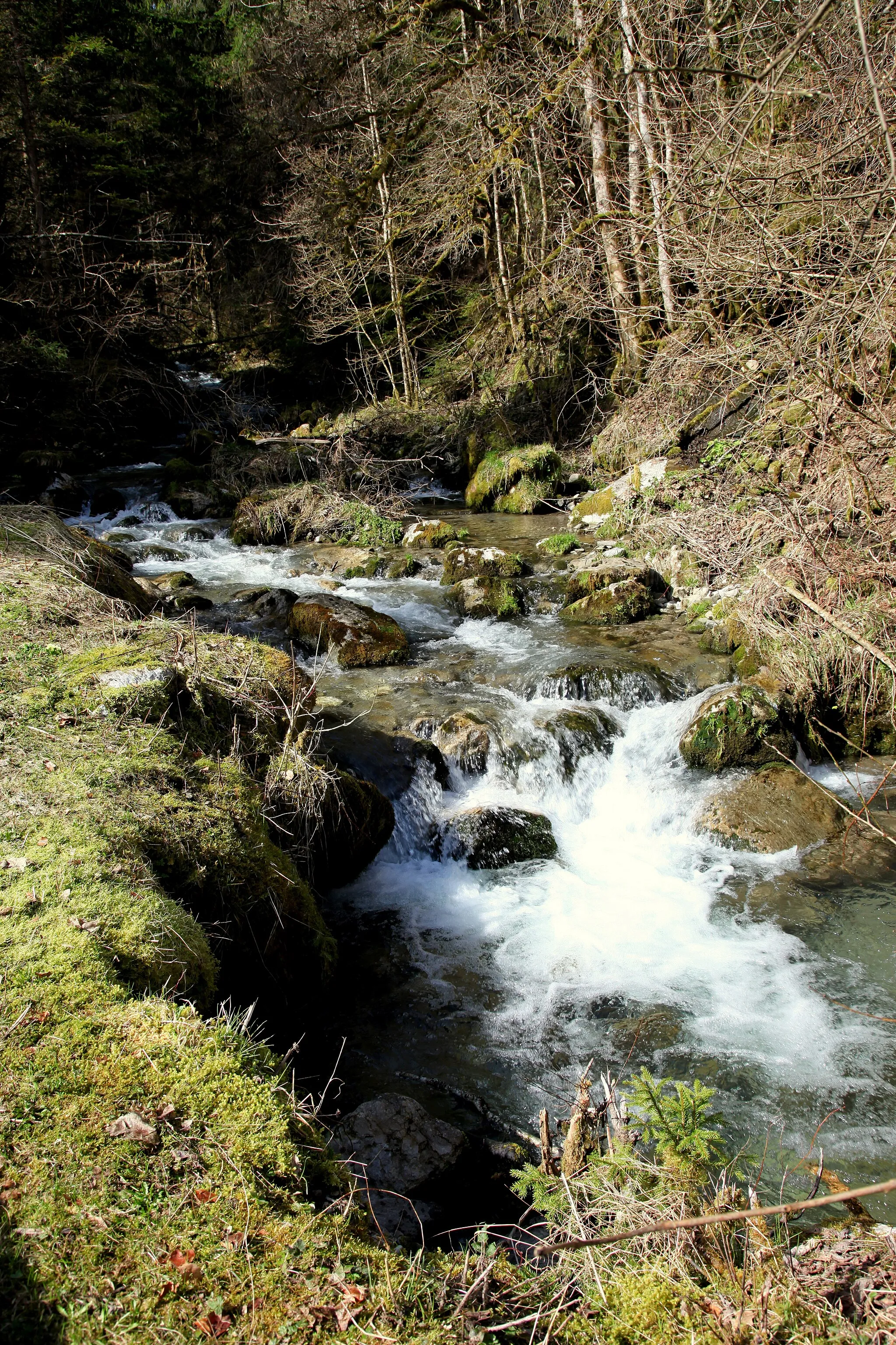 Photo showing: Template:L'Overan au Pont du Moulin