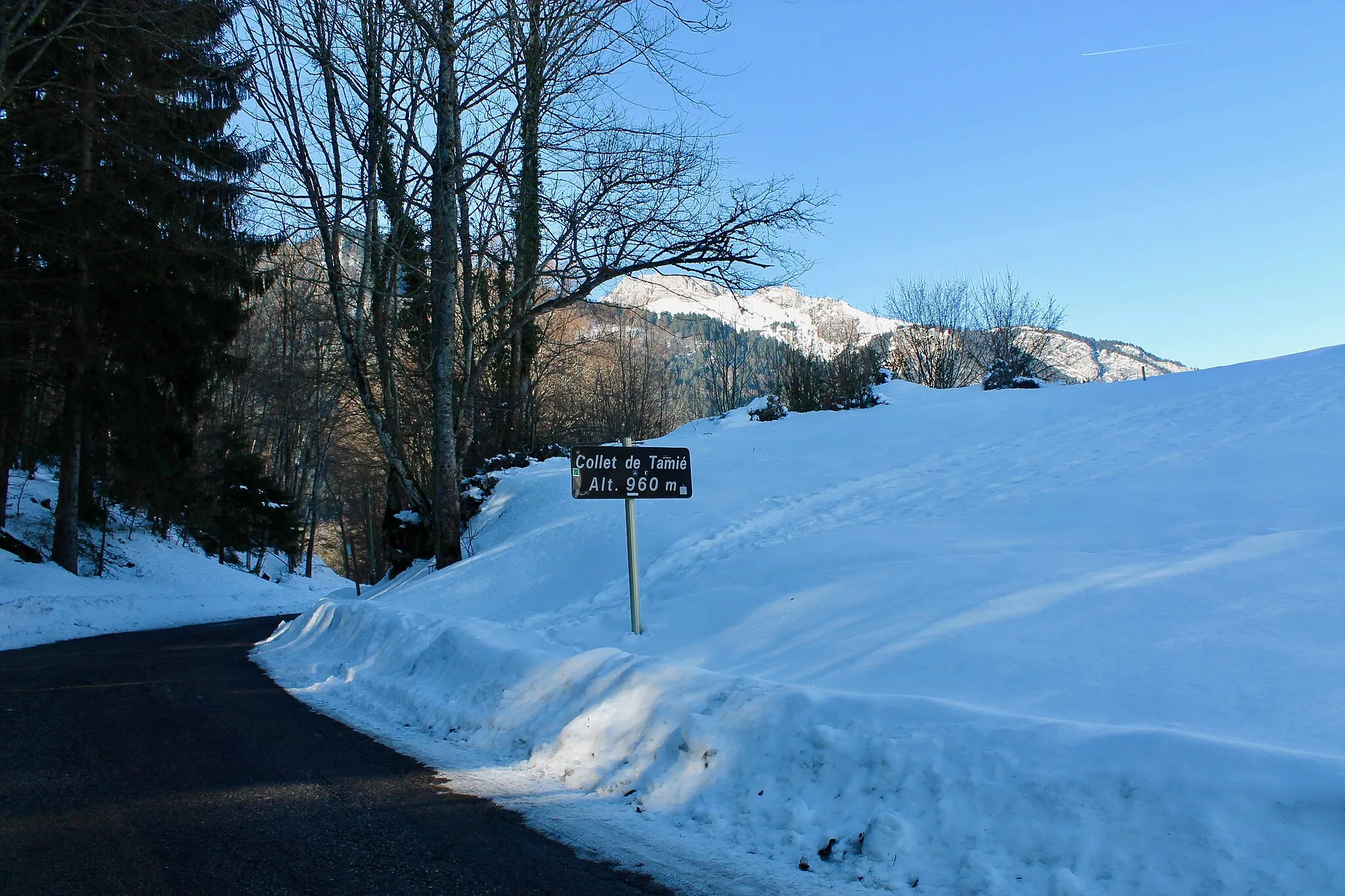 Photo showing: Collet de Tamié, situé à 960 m d'altitude sur la commune de Mercury.