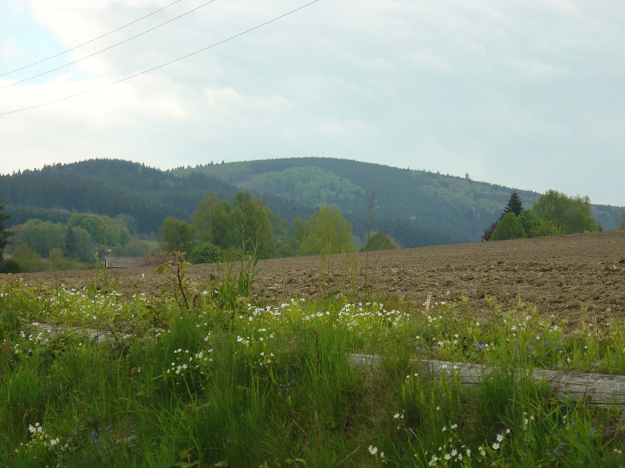 Photo showing: Prise de vue à proximité de Chénelette. Est-ce le mont Saint-Rigaud (1009m) ou le mont Monnet (1000m) ?