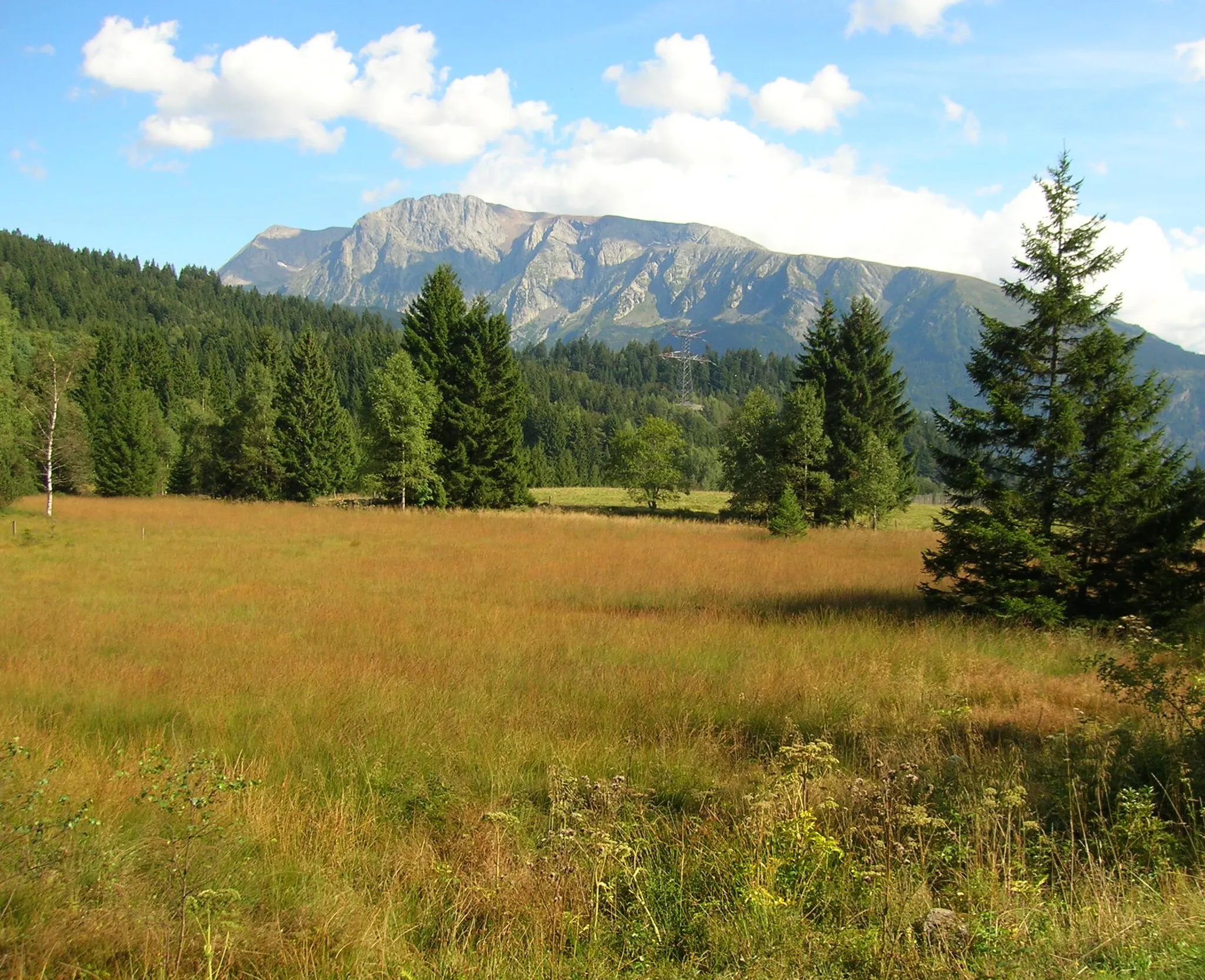 Photo showing: Réserve naturelle nationale du lac Luitel, Isère, AuRA, France.