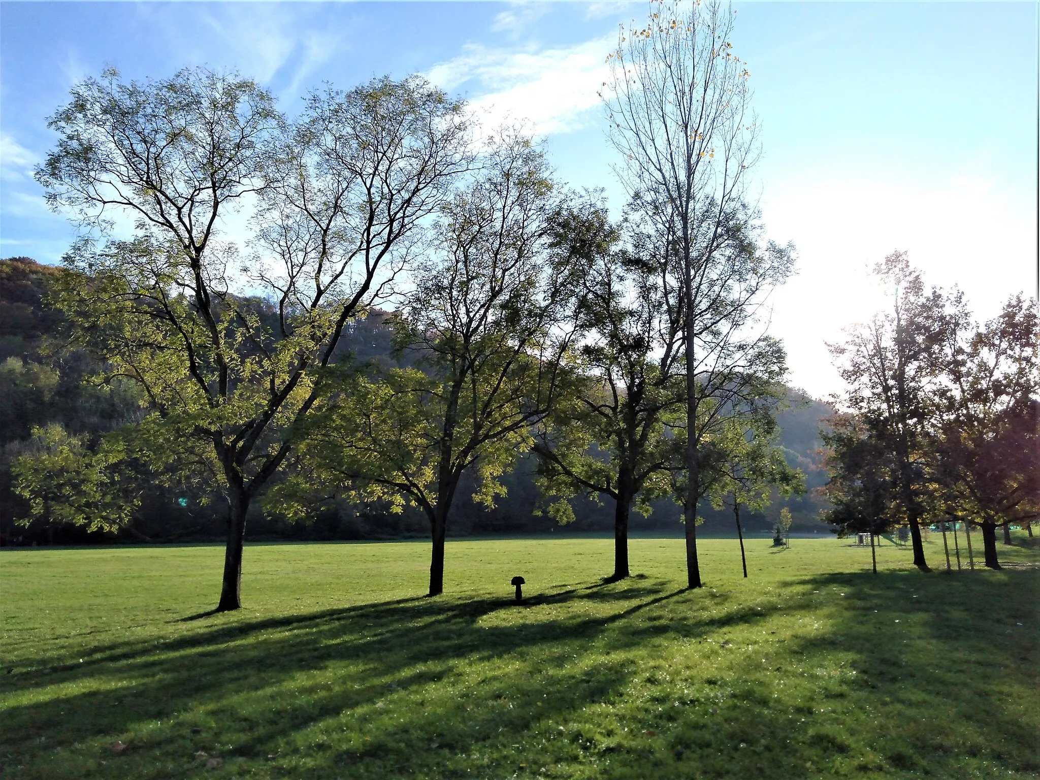 Photo showing: Le parc Robert Buisson à Échirolles