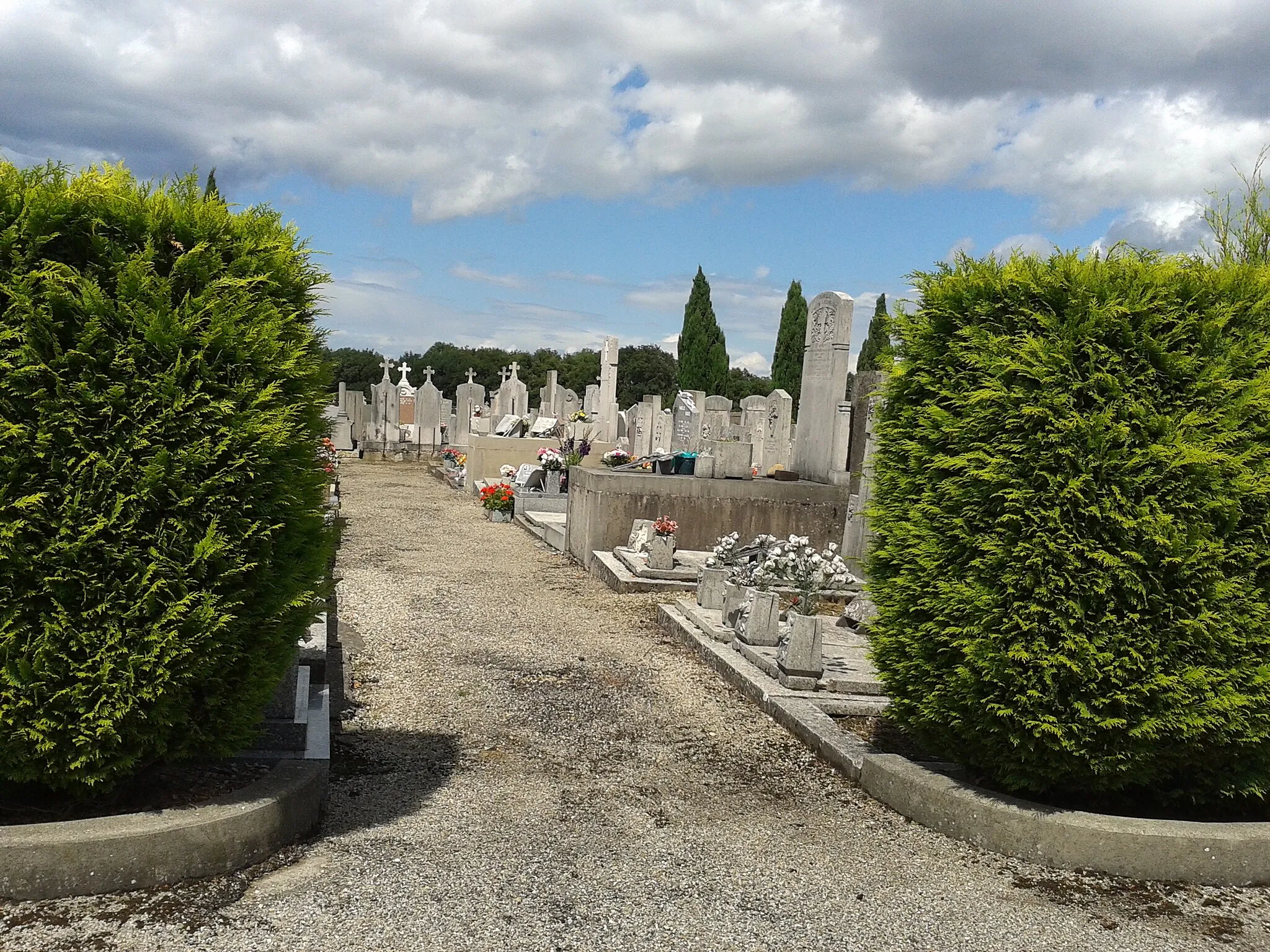 Photo showing: Givors (69700): Une allée du cimetière de Badin.