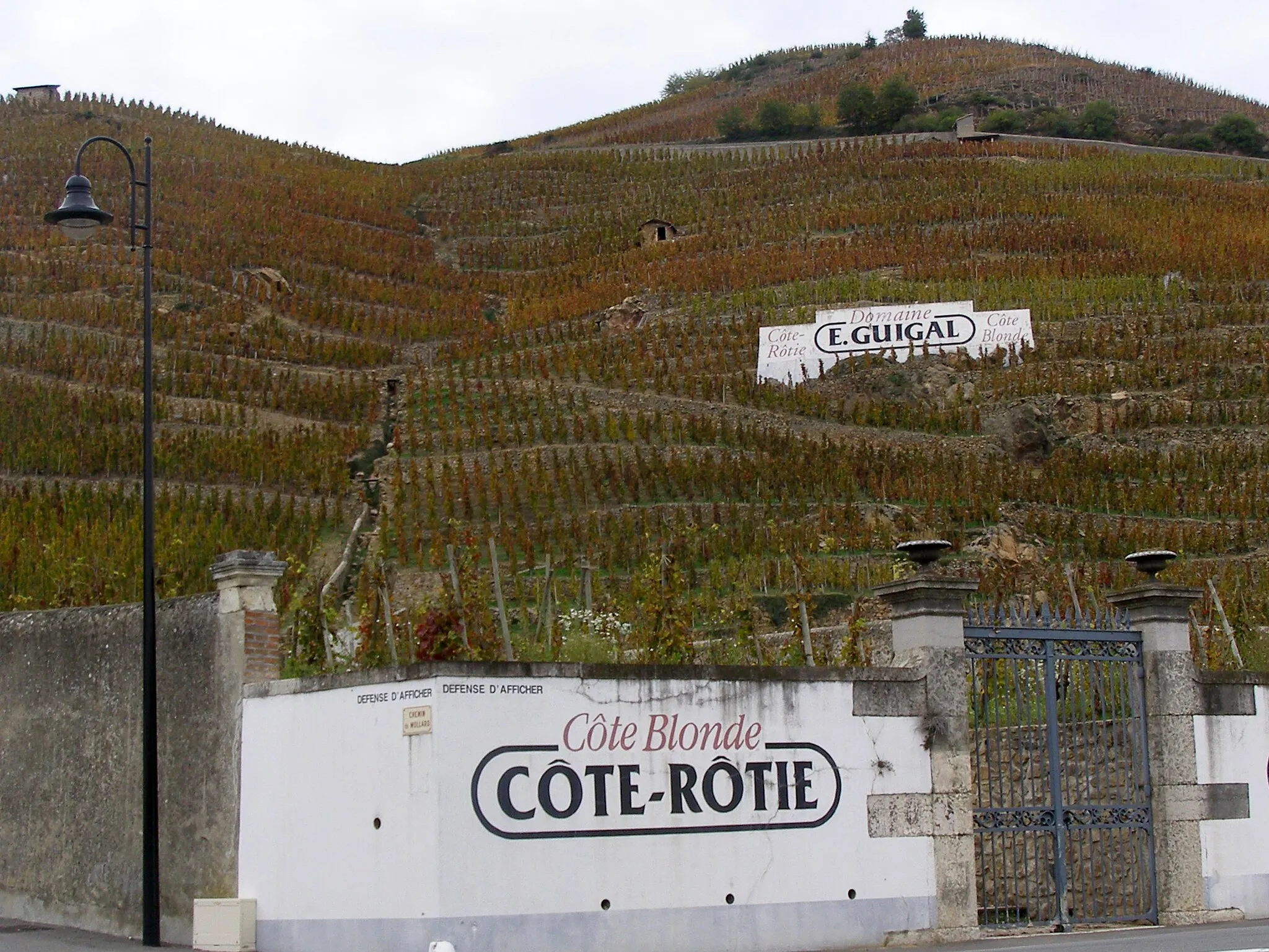 Photo showing: Village d'Ampuis vu de la Côte-Rôtie