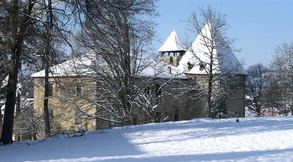 Photo showing: vue Sud Est du château de FASSION