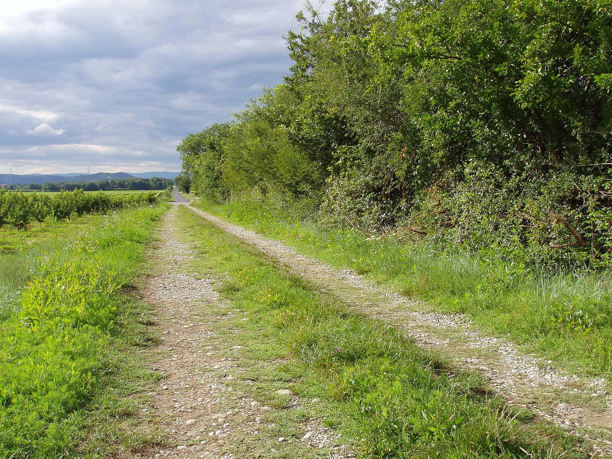 Photo showing: Le chemin et la route communale reprenant le tracé de la voie d’Agrippa, près de Beaumont-Monteux (Drôme)