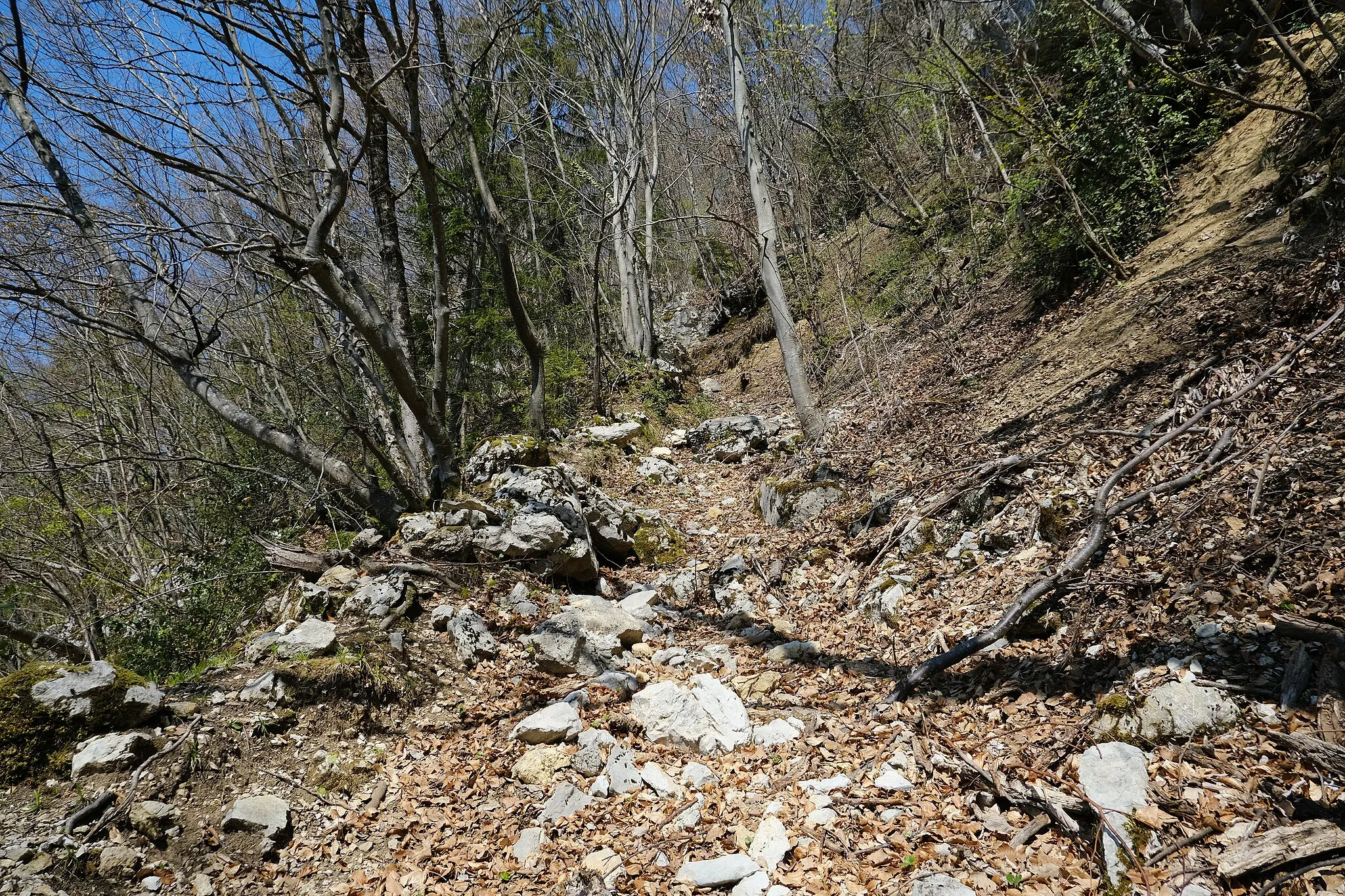 Photo showing: Ancien chemin rural