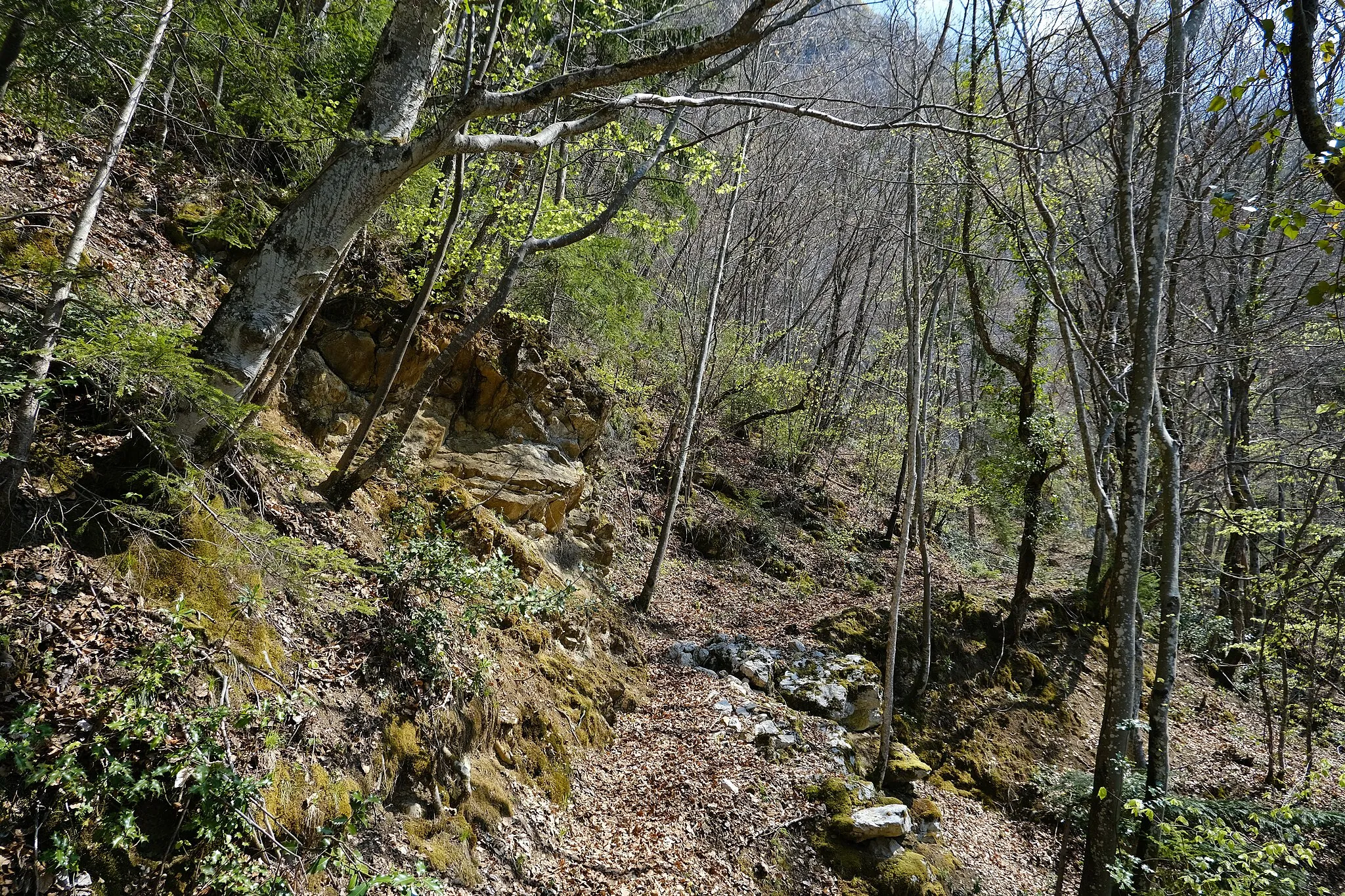 Photo showing: Ancien chemin rural