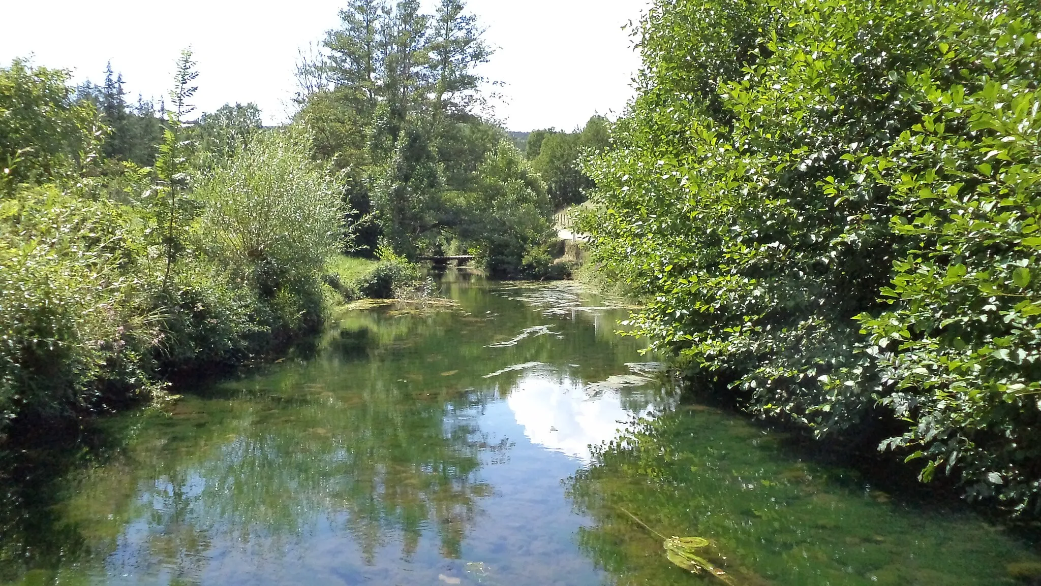 Photo showing: l'Auzon, ruisseau passant dans la commune de Saint Etienne De Fontbellon.