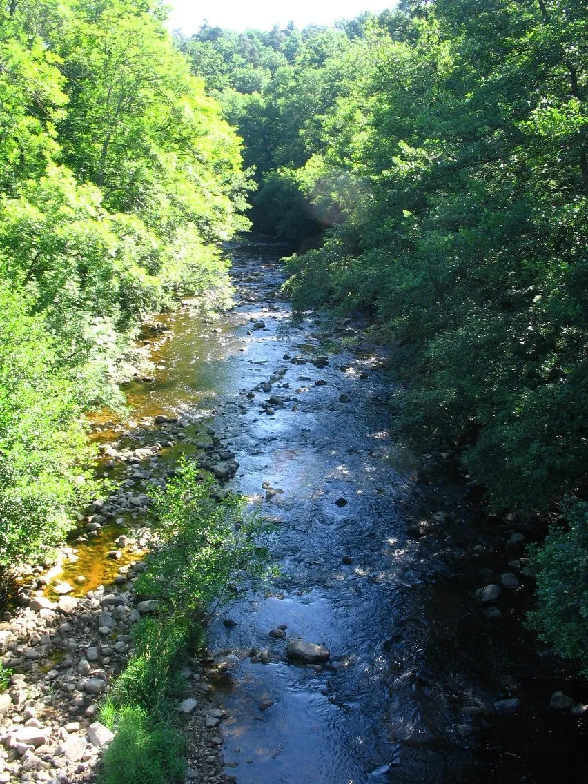 Photo showing: Ance entre Bas et Beauzac, Haute-Loire, à moins d'1 km de sa confluence avec le fleuve, cote 442.
La rivière, longue de 77 km, prend sa source aux confins de la Loire et du Puy de Dôme, dans le PNR Livradois-Forez, à 1 370 m.