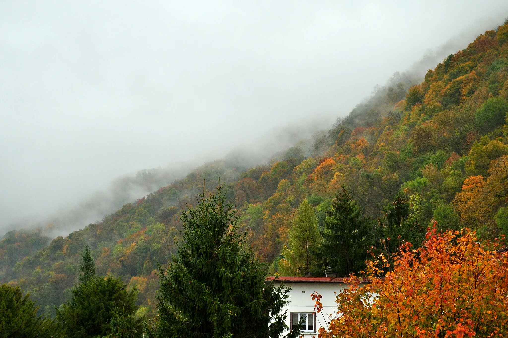 Photo showing: Mist and fog - Brume et brouillard