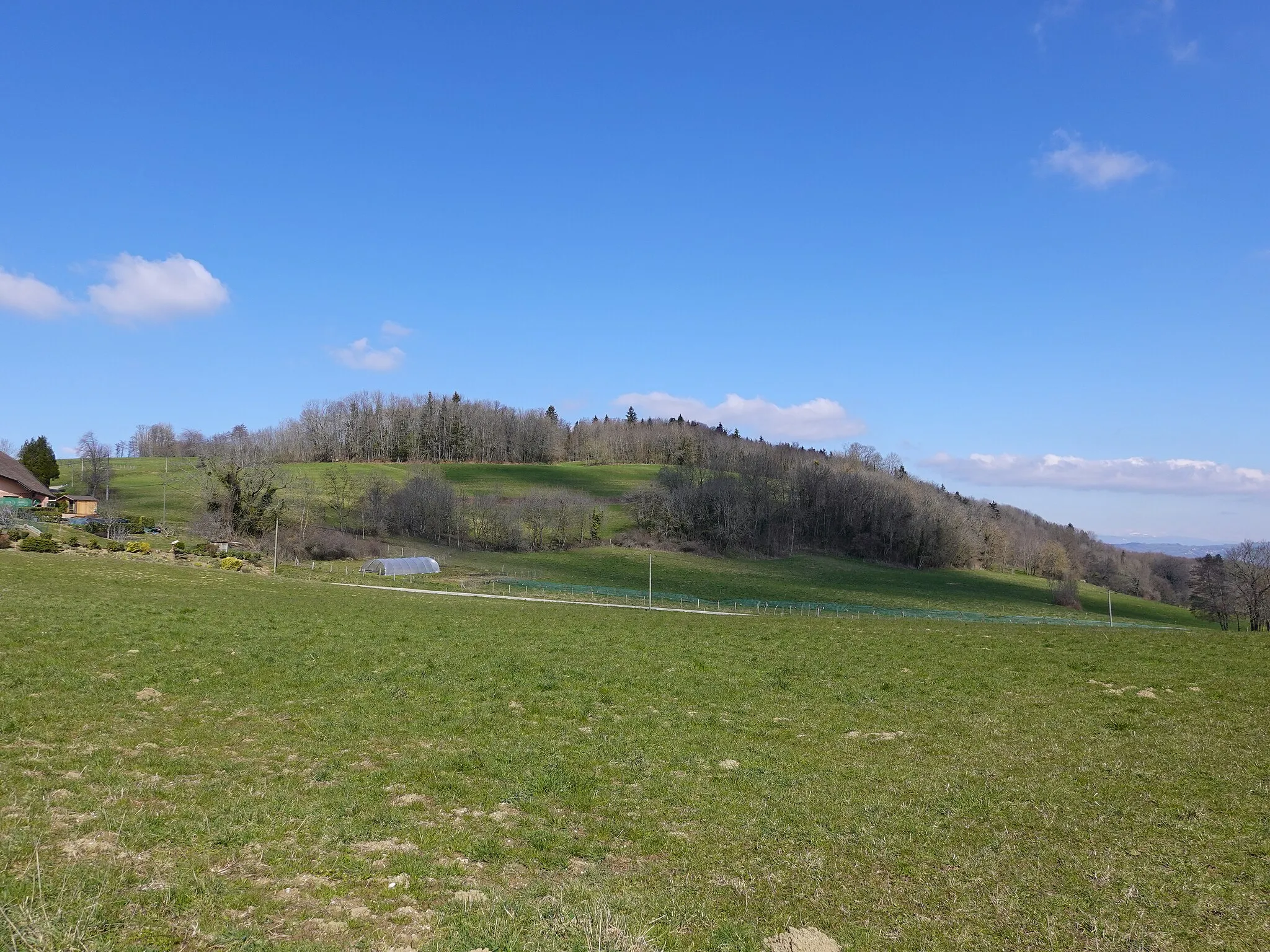 Photo showing: Bois de Bornachon @ Table d'orientation de Bornachon @ Sillingy