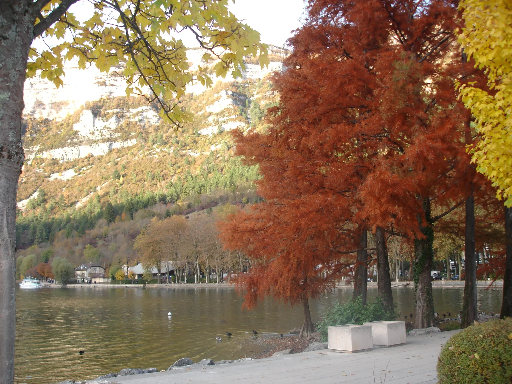 Photo showing: Vue du lac de Nantua en automne du côté ville.