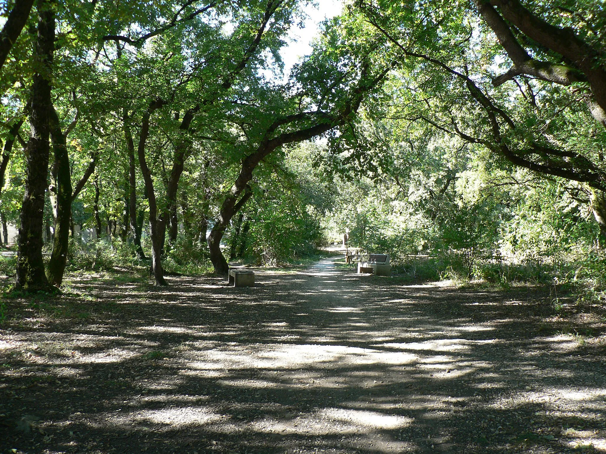 Photo showing: parc en face à l'annexe mairie. Champ-sur-Drac, Isère, AuRA, France.