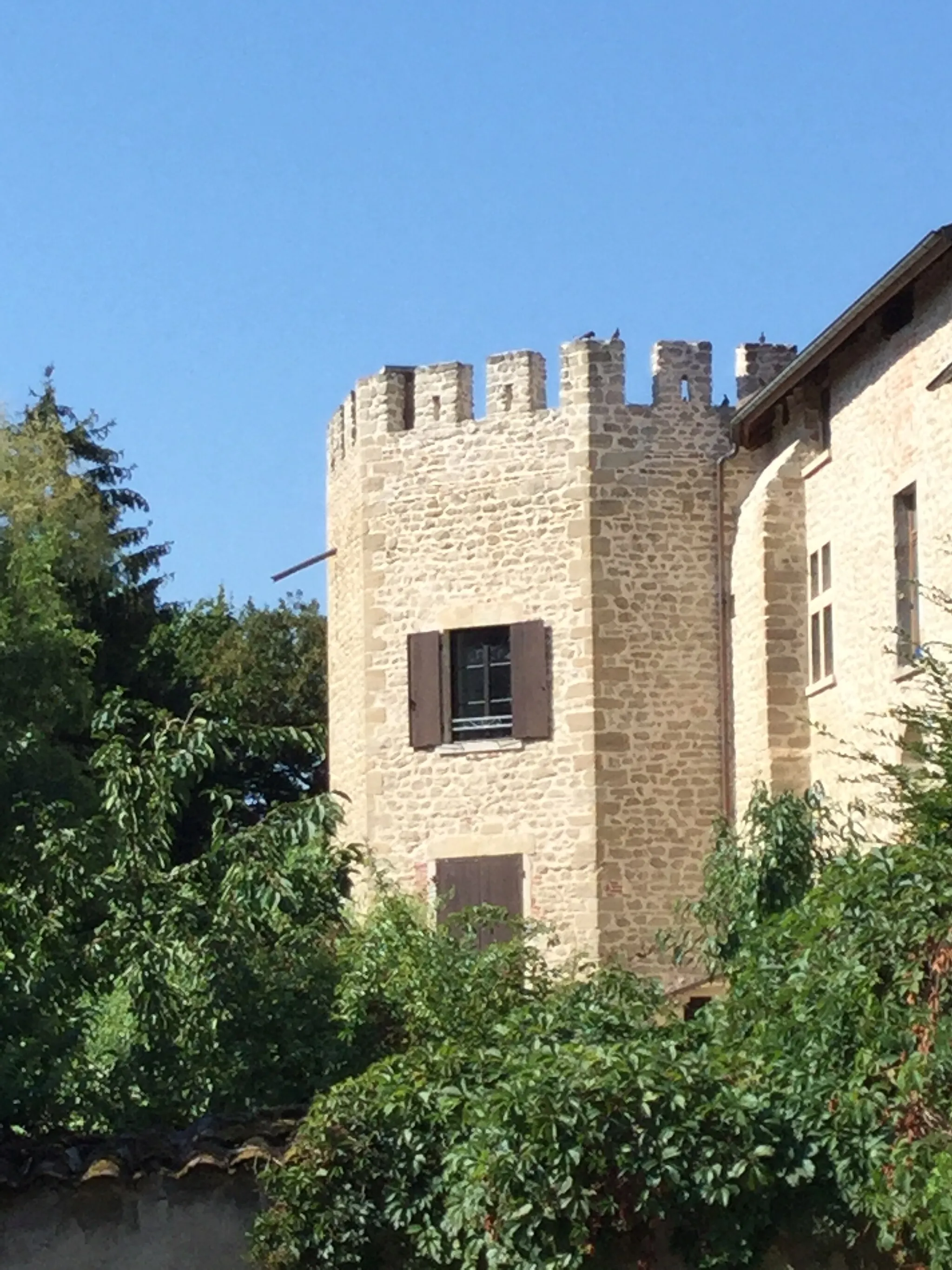 Photo showing: Saint-Georges-d’Espéranche Castle