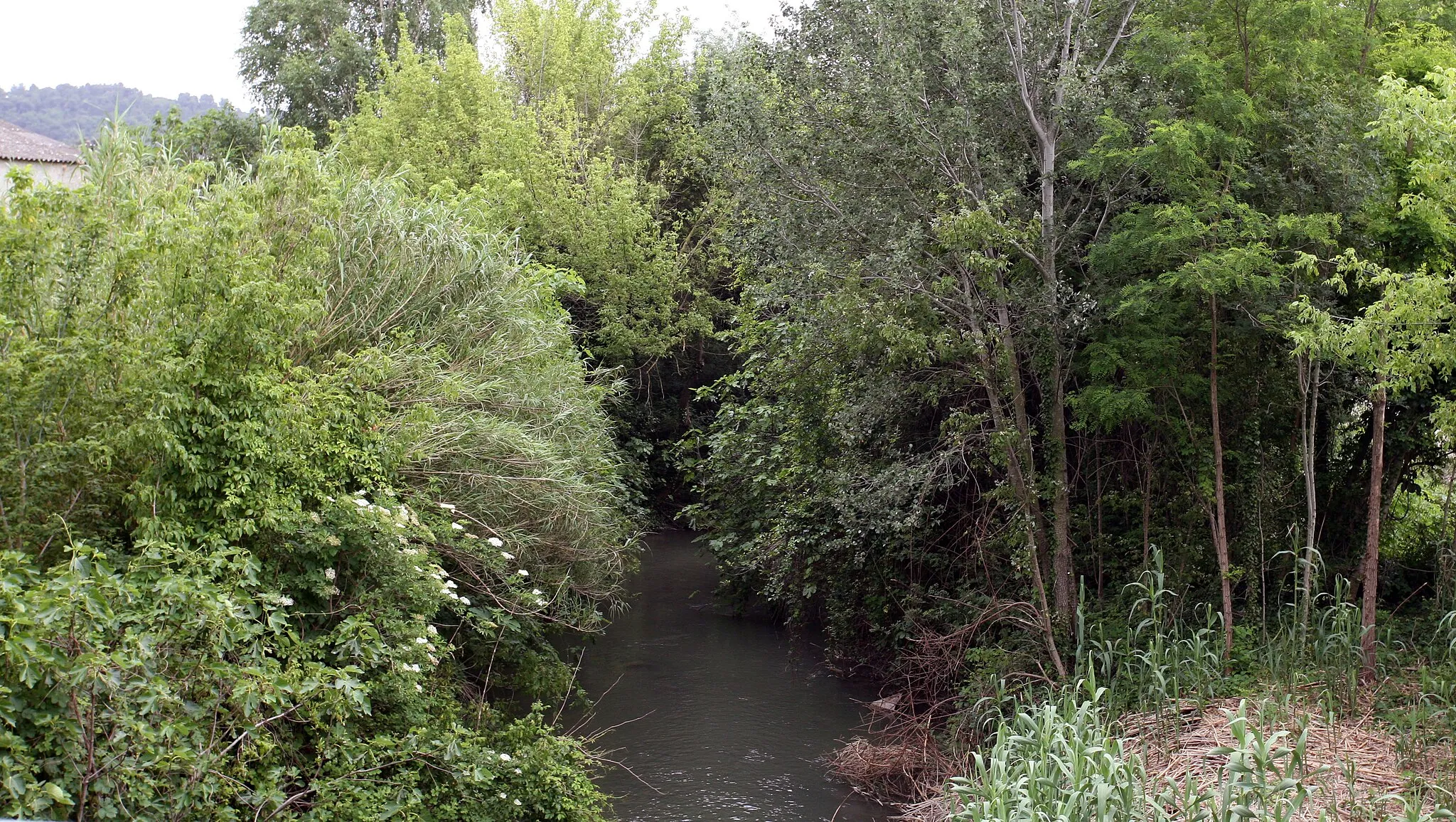 Photo showing: Le Lez (à Mondragon) Vaucluse