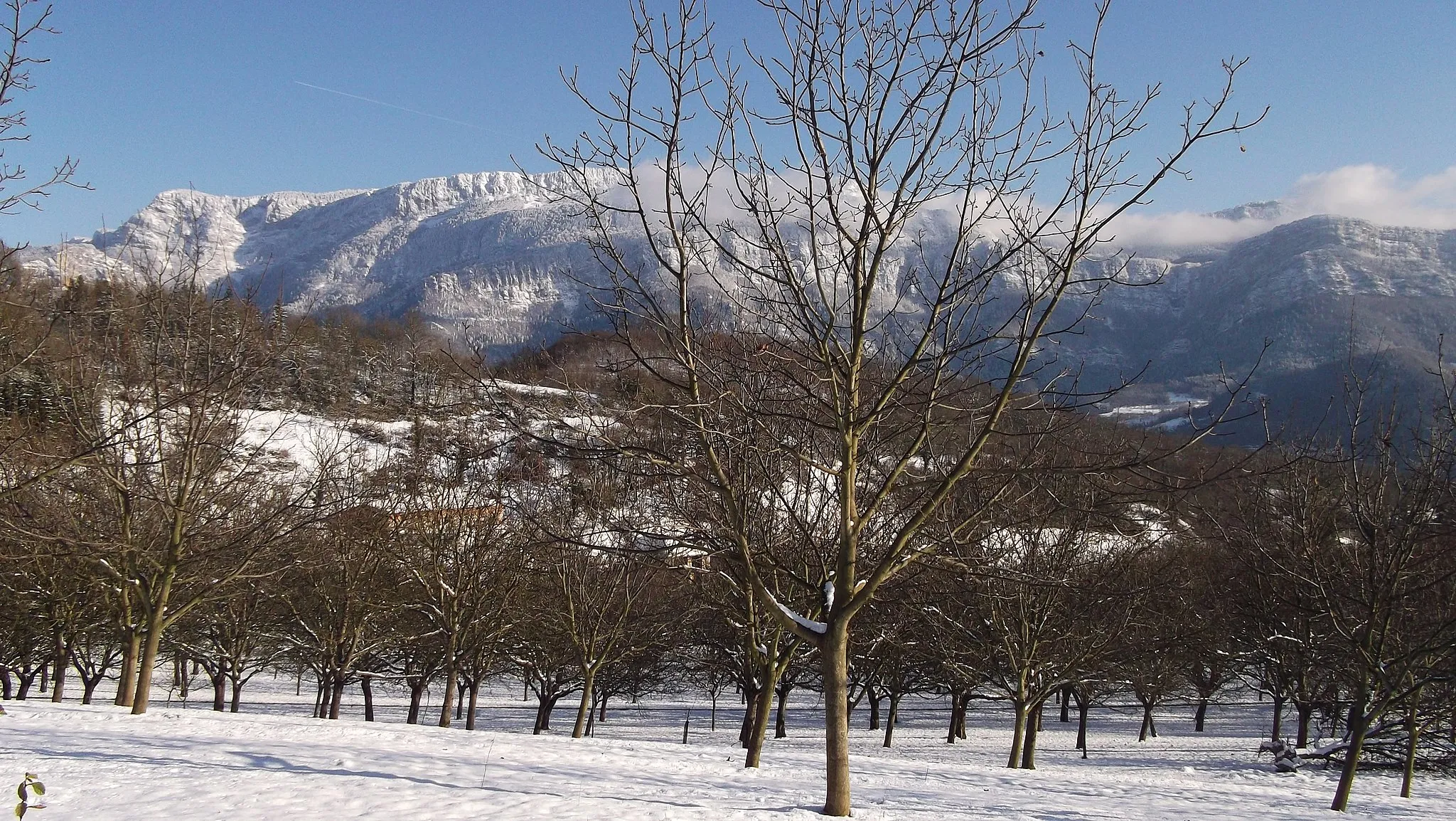 Photo showing: Paysage enneigé à Vinay : champ noyers en premier plan et Massif du Vercors en fonds.