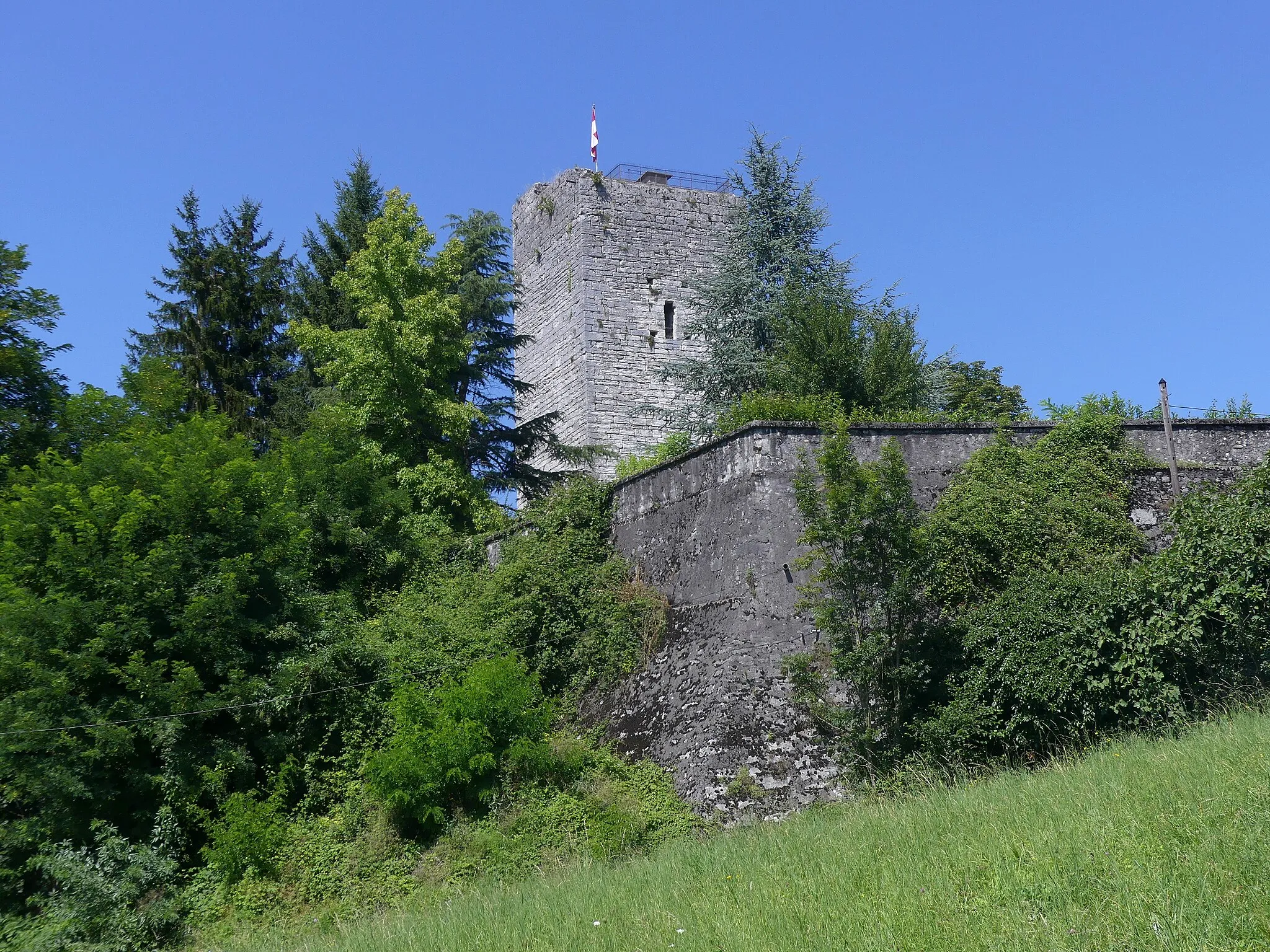 Photo showing: Sight of the tower and remaining wall of ruined castle of Grésy-sur-Aix, in Savoie, France.