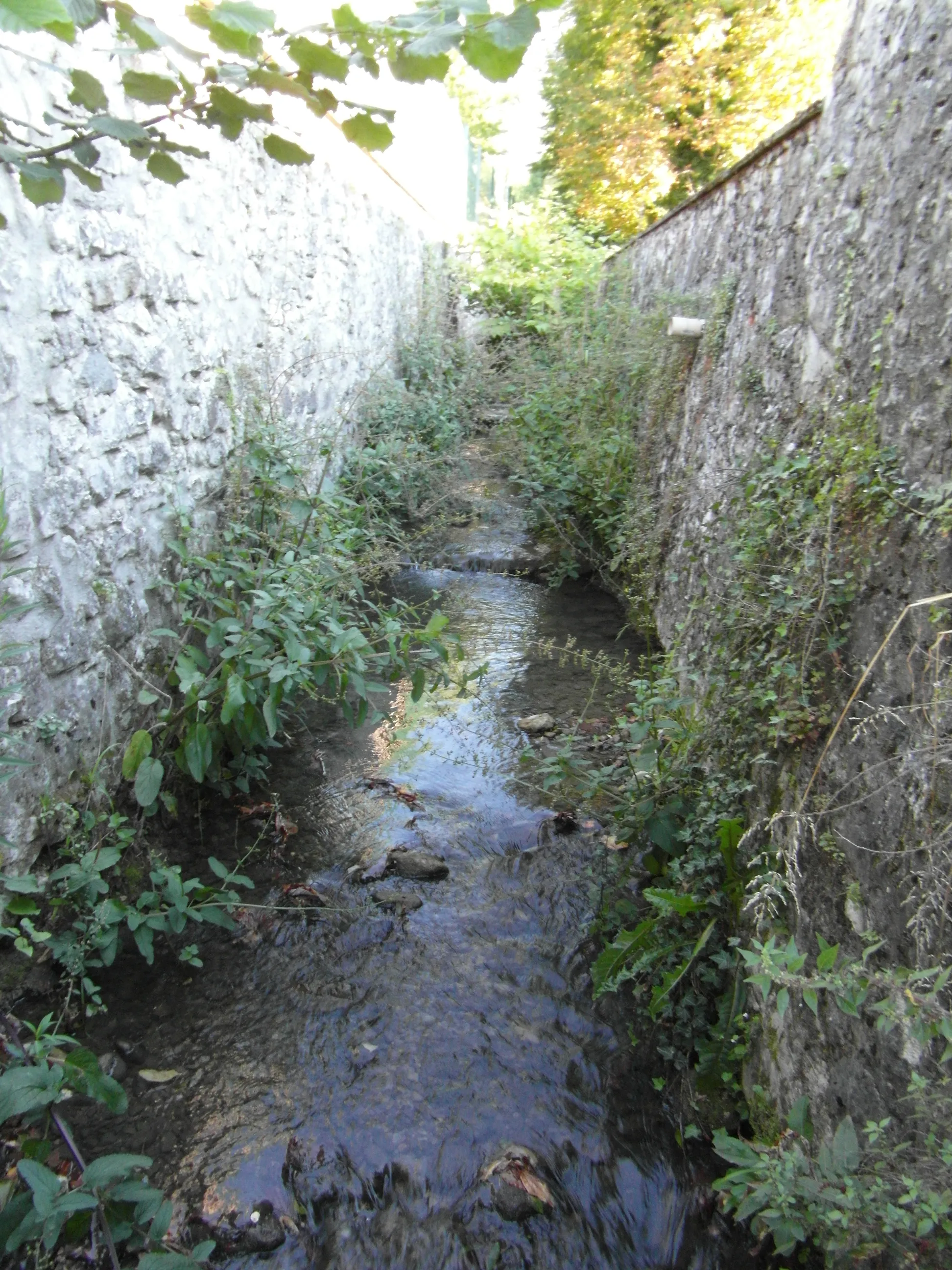 Photo showing: Le ruisseau du Charmeyran sur le territoire de la commune de La Tronche (38)