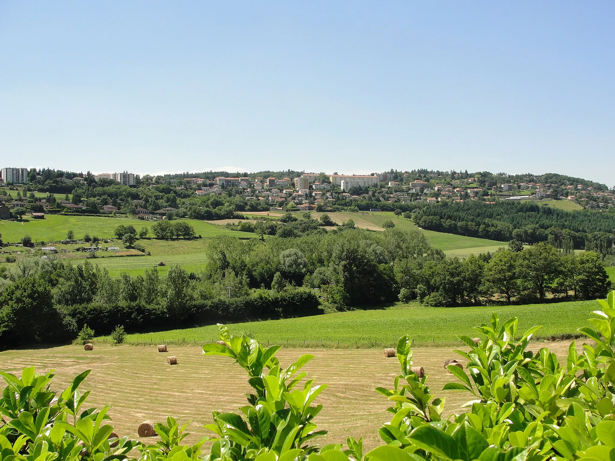 Photo showing: St-Genest Lerpt (Loire), depuis route descendant de Côte Chaude.