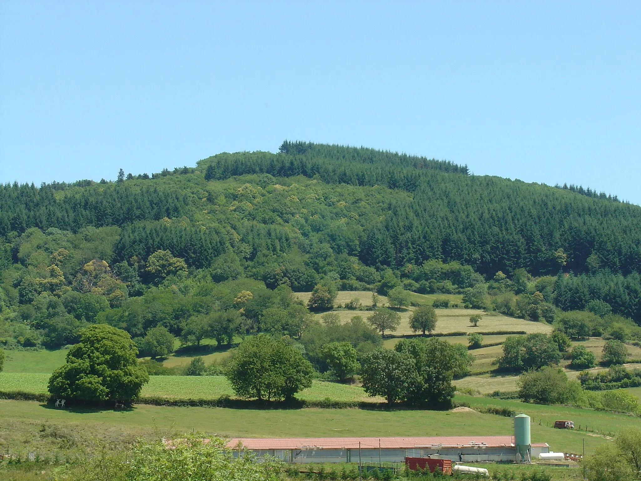 Photo showing: Le Signal de la Mère Boîtier, point culminant des monts du Mâconnais, vu à proximité de Tramayes