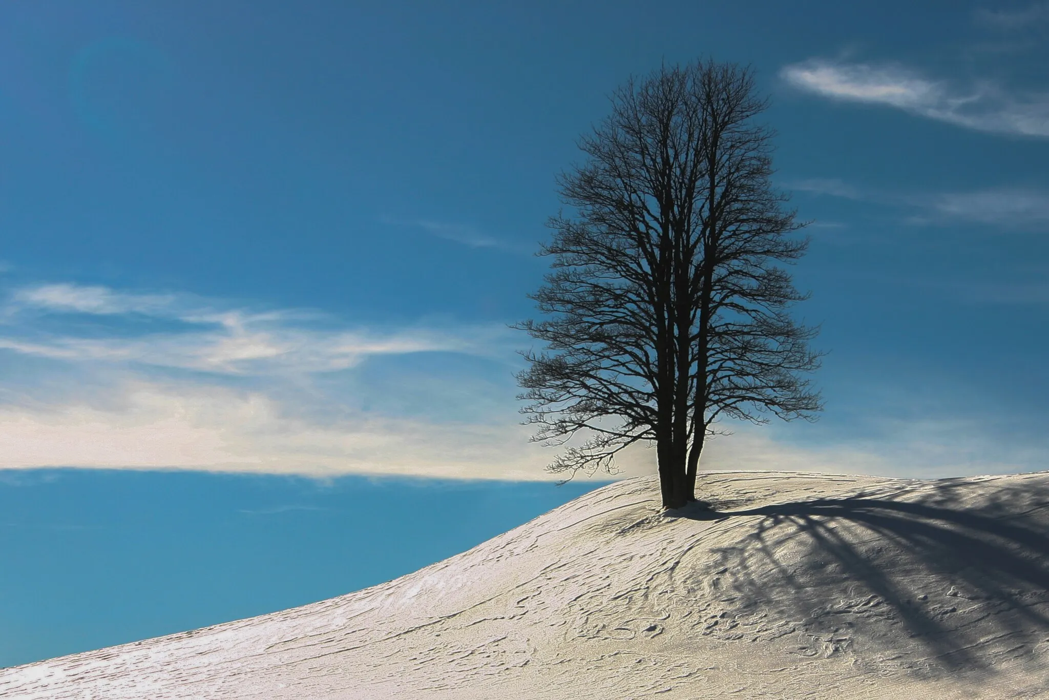 Photo showing: Sur la piste de ski de fond de la Grande Traversée du Jura (GTJ), Parc naturel régional du Haut-Jura