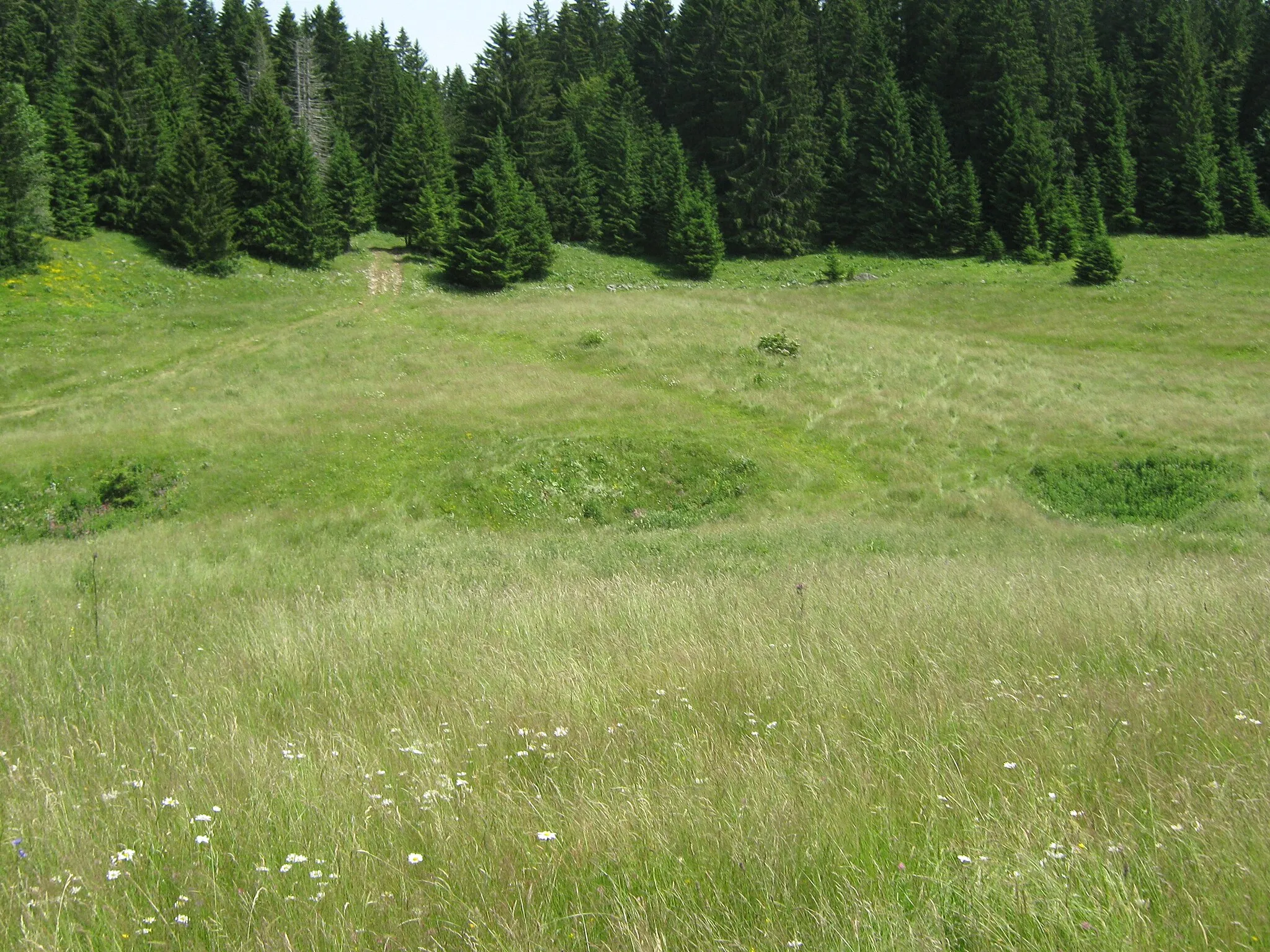 Photo showing: Dolines près de Bellecombe dans le Jura (France)