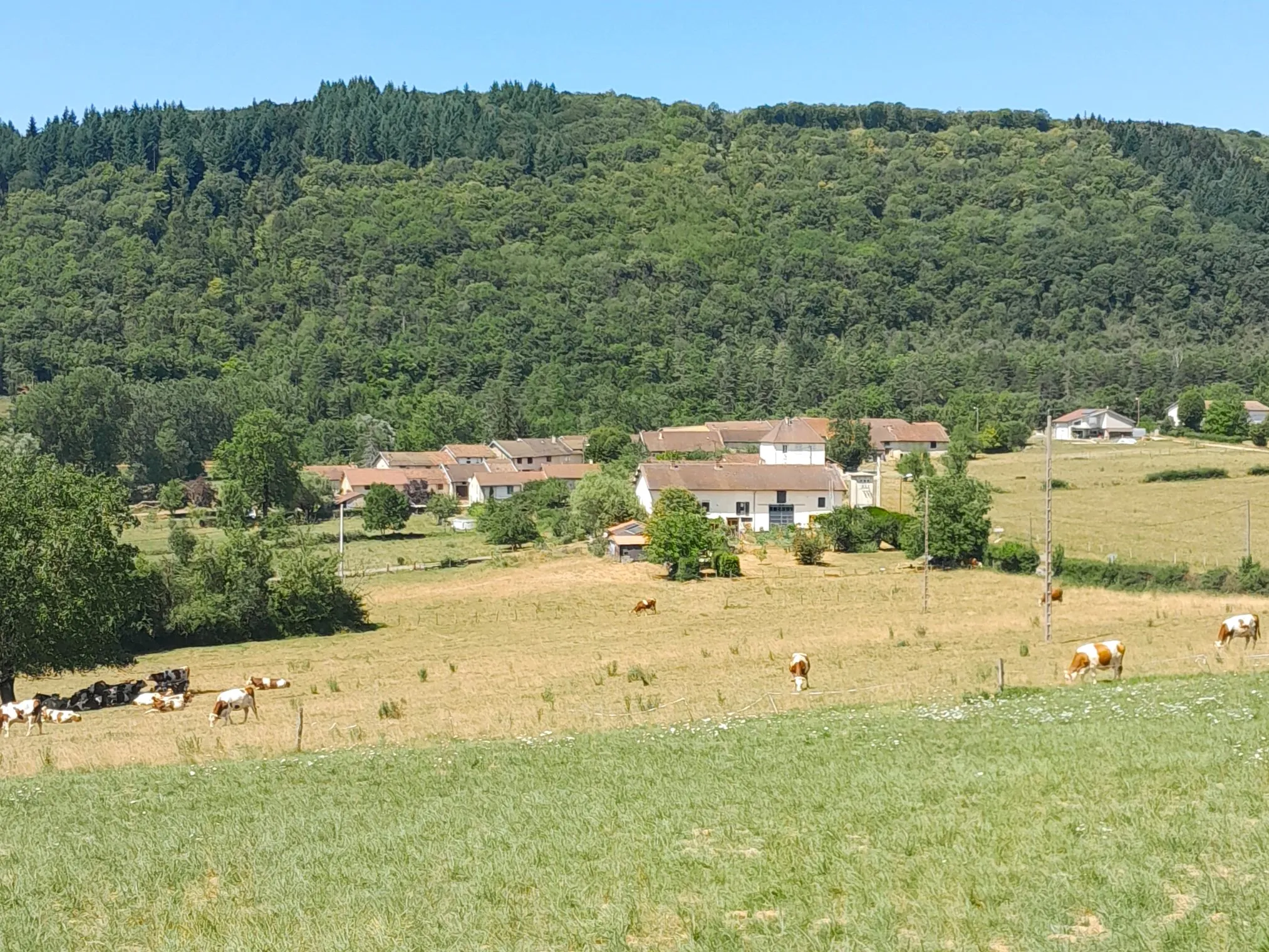 Photo showing: Vue de Broissia depuis la principale route