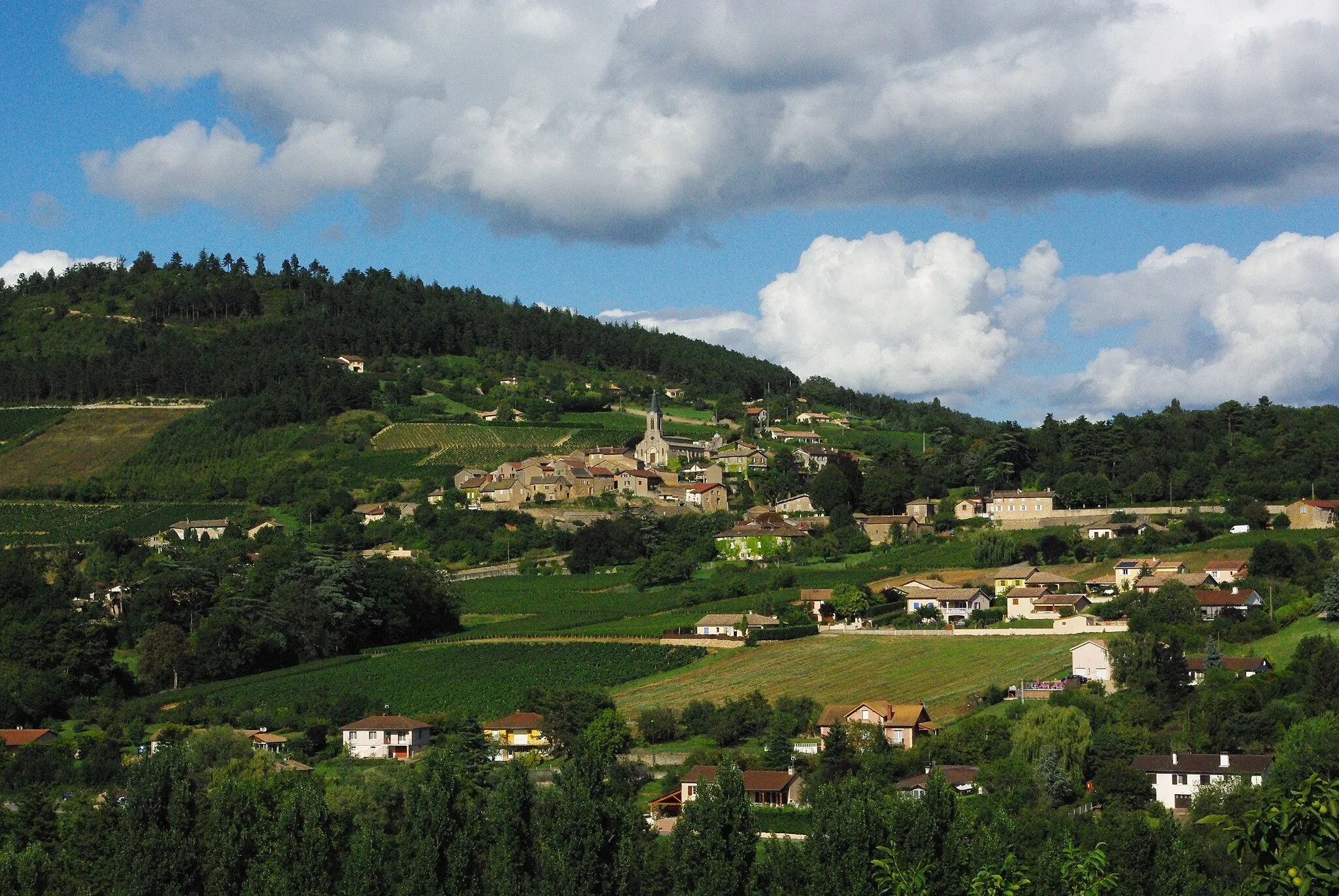 Photo showing: La Roche-Vineuse (71)