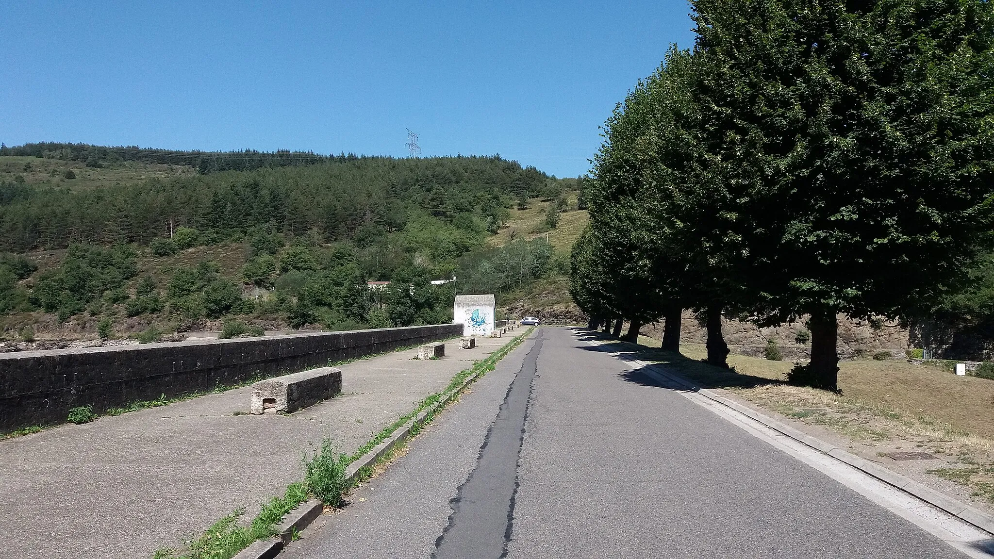 Photo showing: Route du Sorbier.