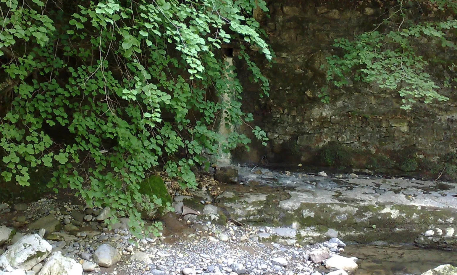 Photo showing: Exsurgence de l'une des sources sulfureuses des anciens bains de la Caille en Haute-Savoie, France.