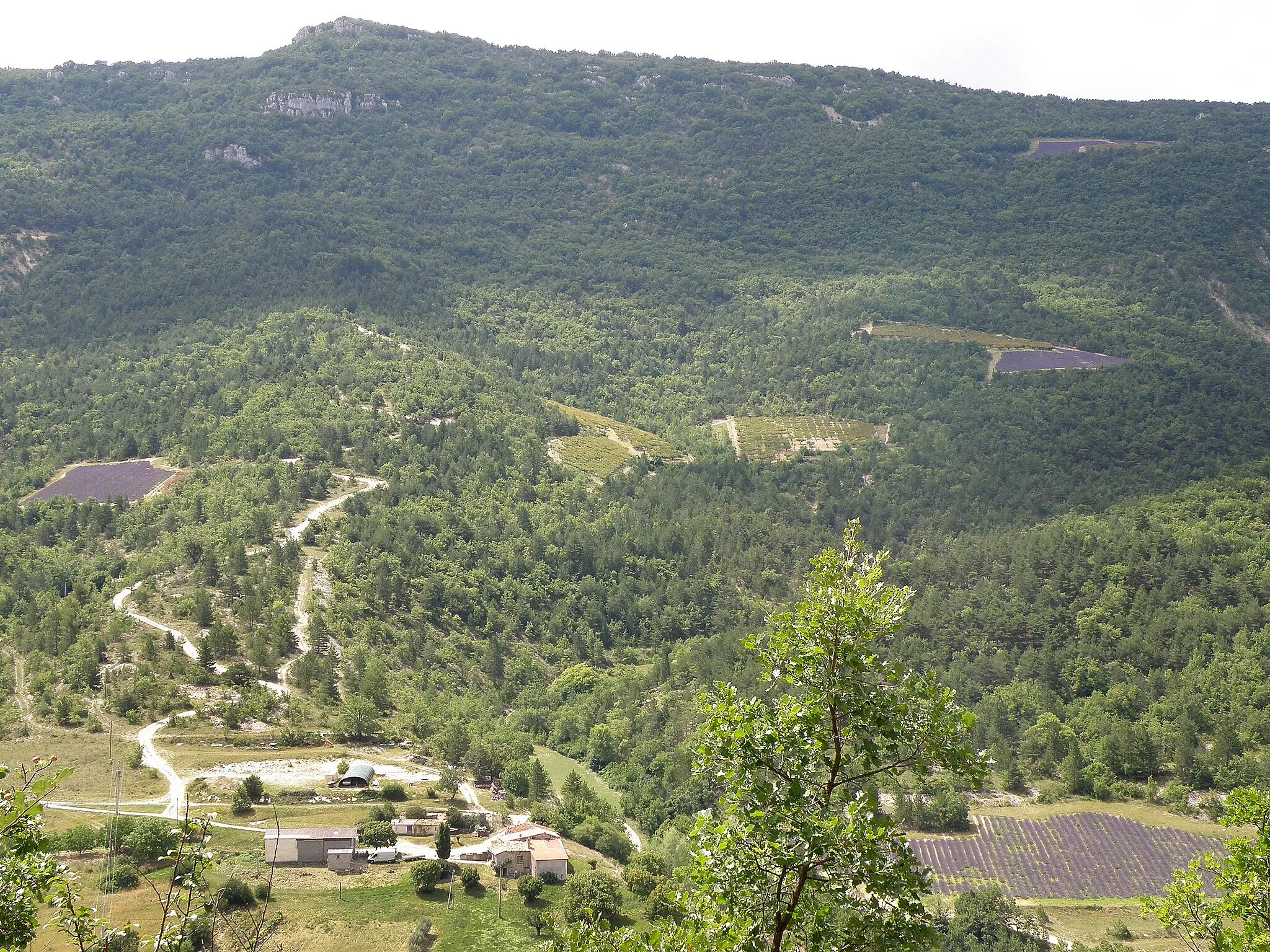 Photo showing: Vercoiran (comm. de la Drôme, France). Vallée de l'Ouvèze, vue depuis le vieux village de Vercoiran. Regard vers le sud-ouest. L'Ouvèze, qui coule en contrebas (d'est vers l'ouest, c.-à-d. de gauche à droite), est hors-champ sur la photo. Ferme d'Aire d'Autanne en bas à gauche. Au fond, montagne du Gravas (alt. 1114m.).