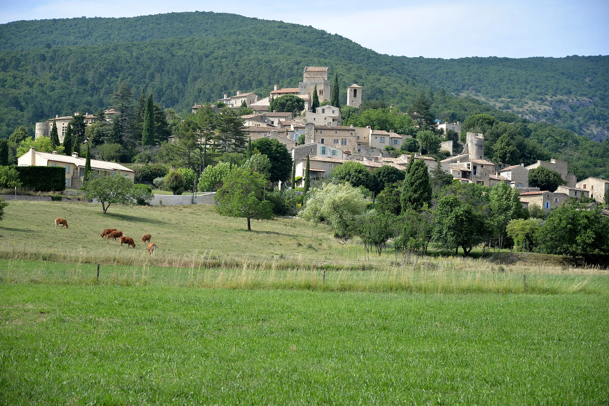 Photo showing: Le Poët-Laval