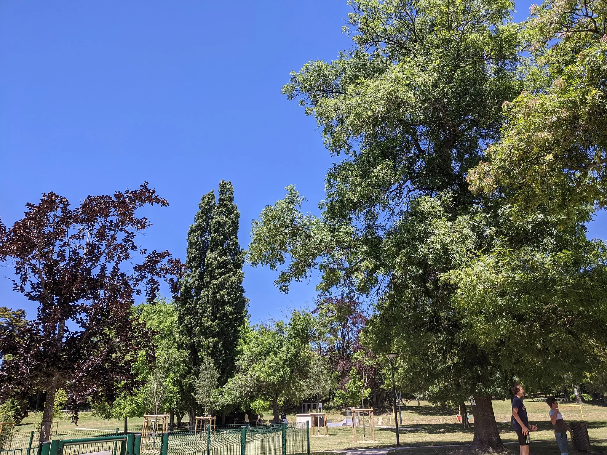 Photo showing: Parc Émile Loubet, à La Bégude-de-Mazenc (Drôme, France).