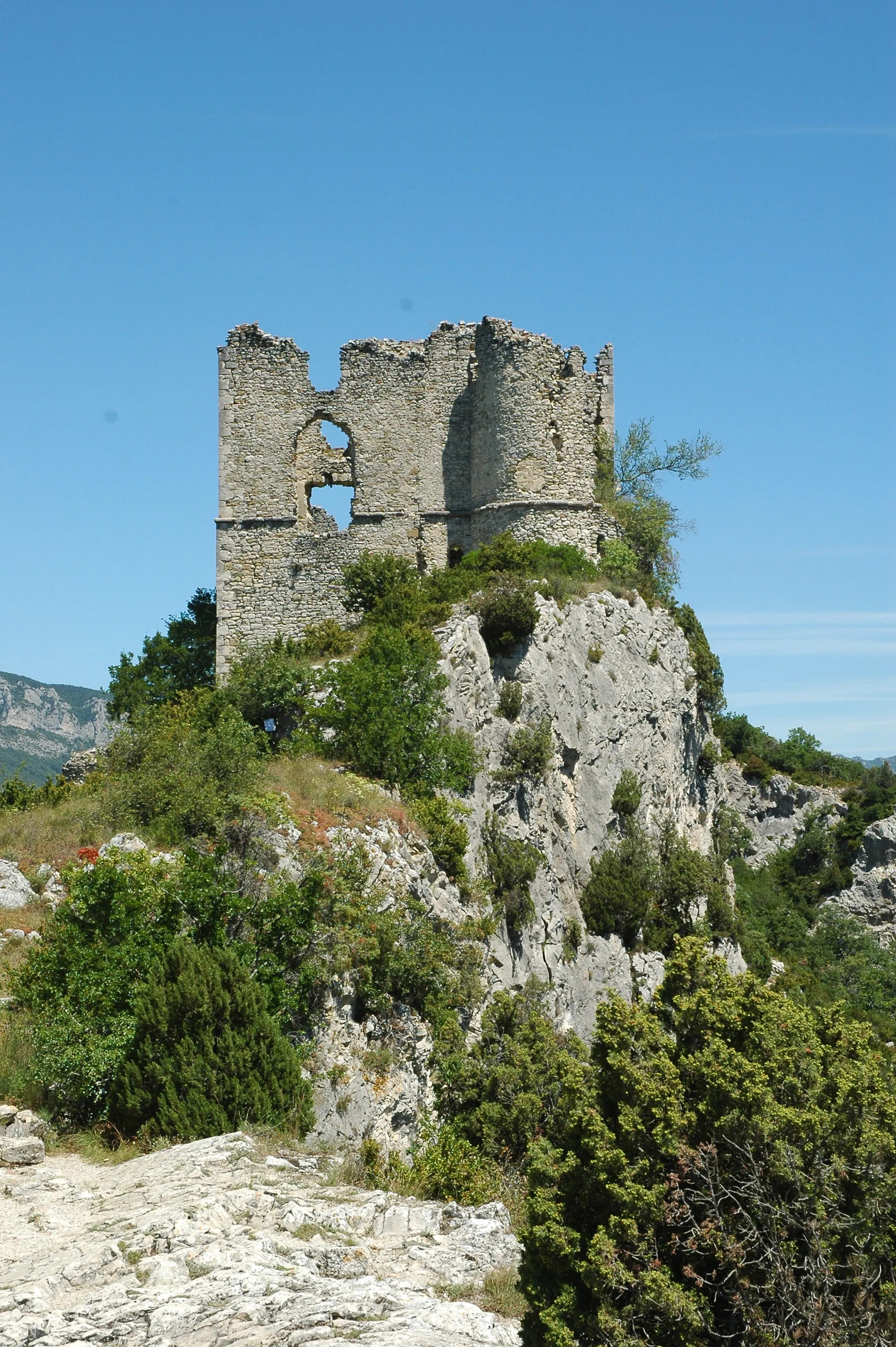 Photo showing: Château de Soyans