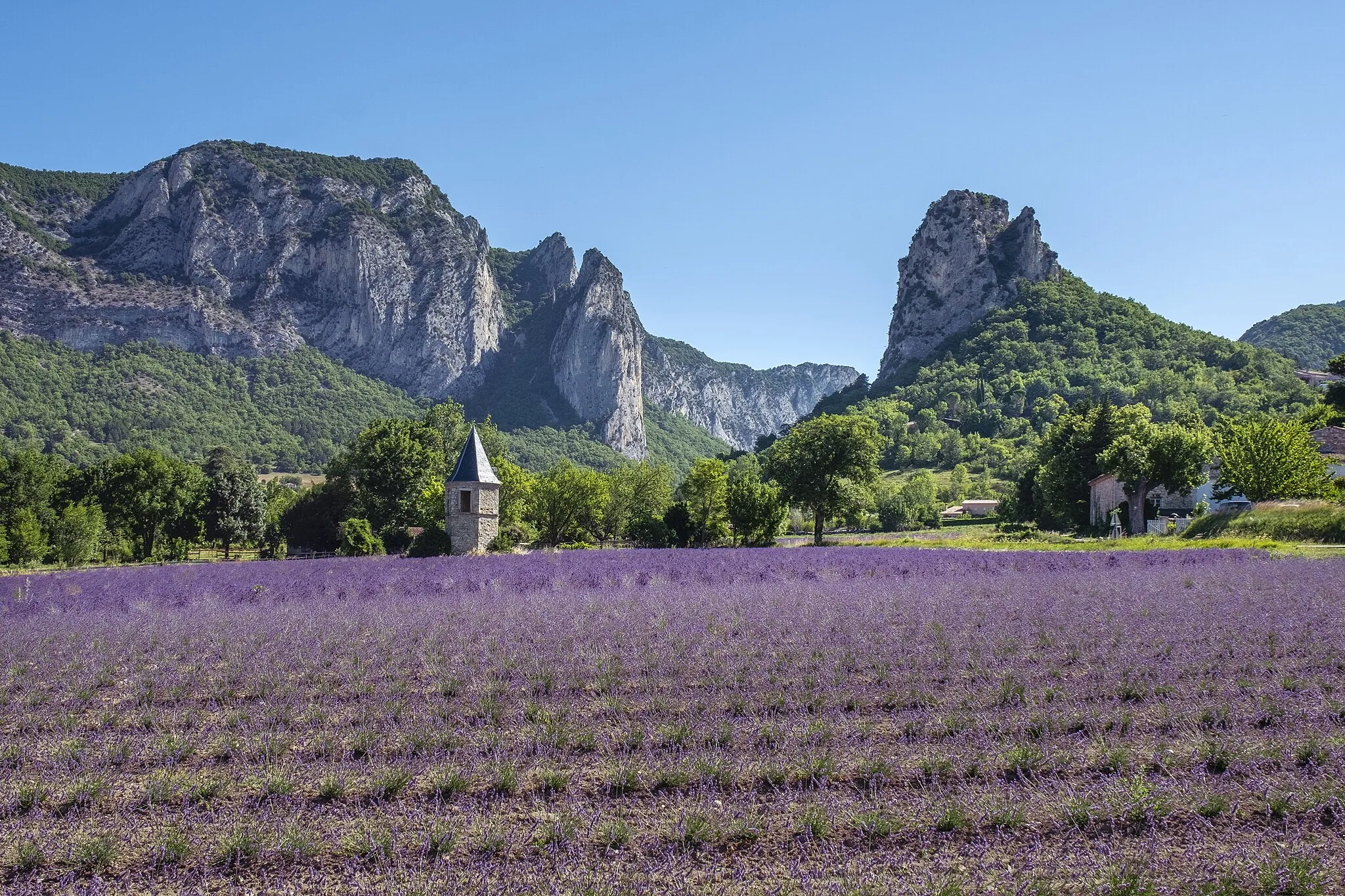 Photo showing: Duftende Lavendelfelder bei Saou