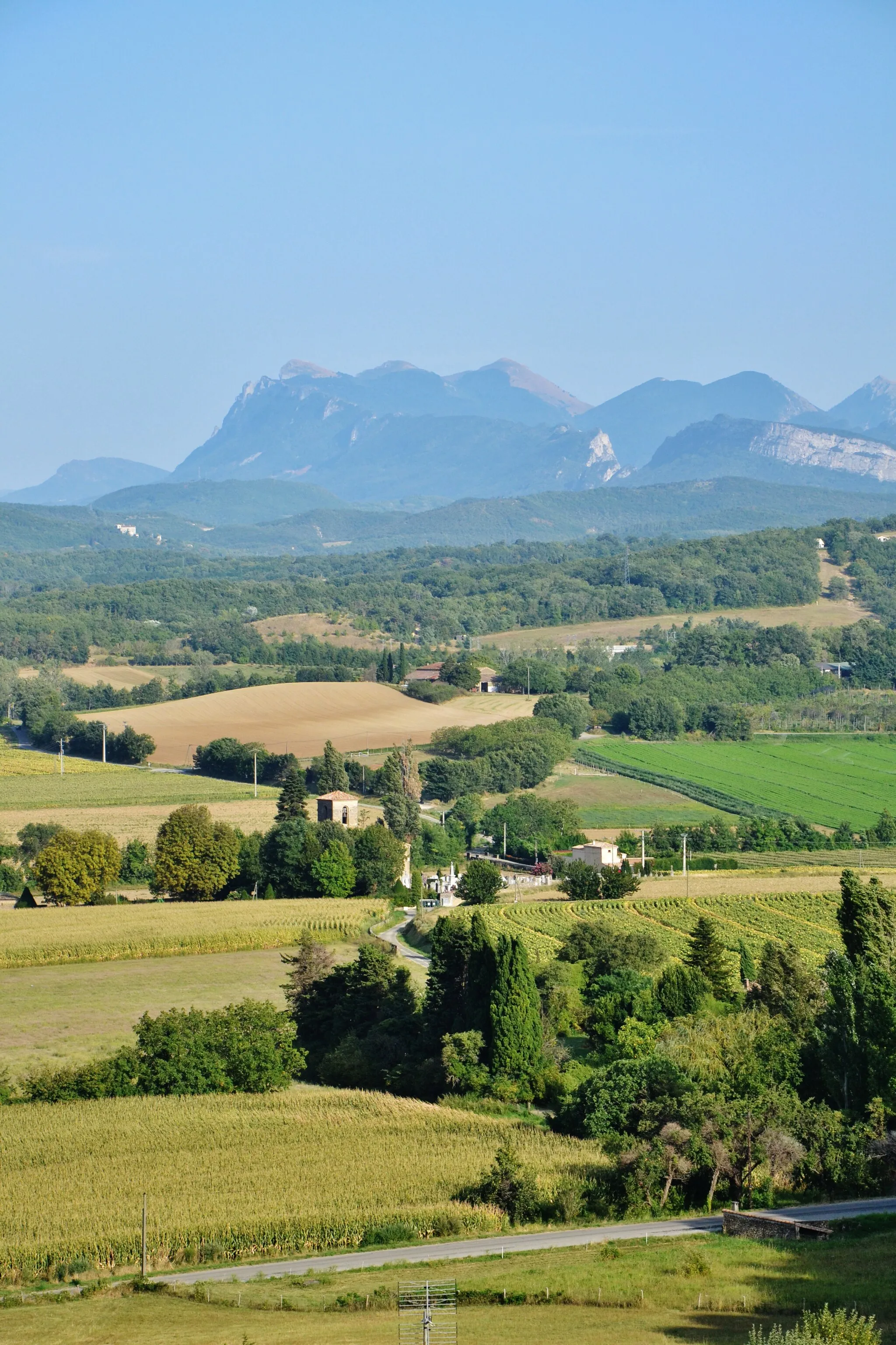Photo showing: La forêt de Saou depuis Chabrillan (Drôme, France)