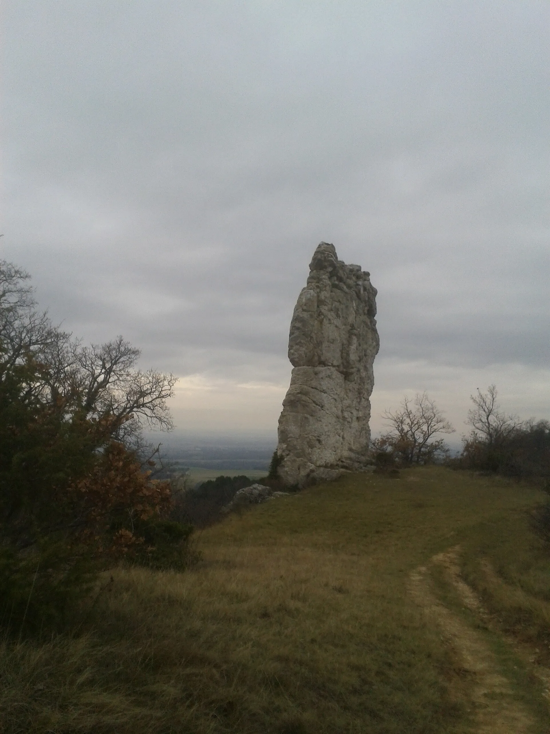 Photo showing: La Baume-Cornillane (Drôme) : fragment de couche sédimentaire, initialement horizontale et redressée à la verticale par les mouvements tectoniques, présenté symboliquement comme le « centre de la Pangée »