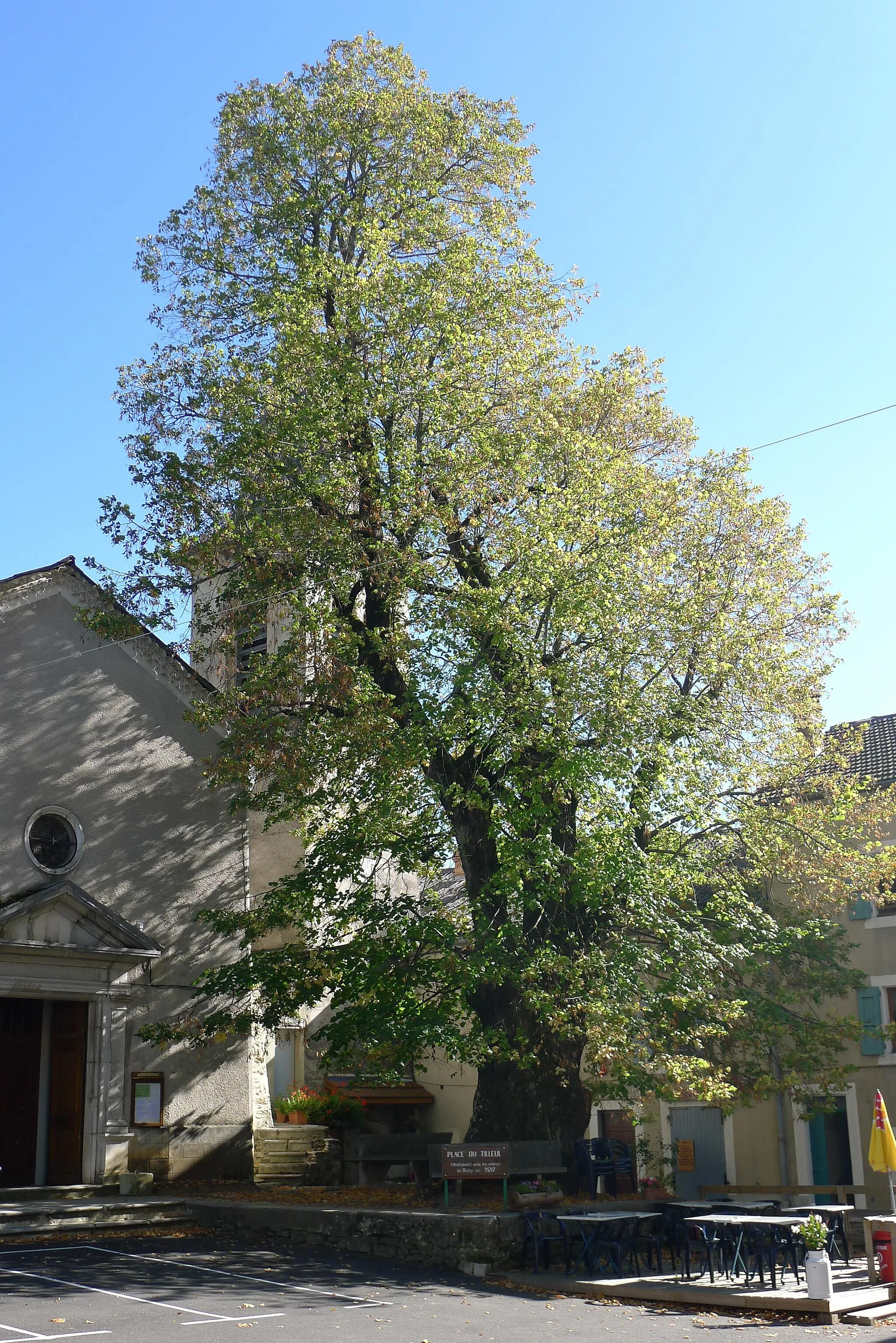 Photo showing: Lime tree planted under the orders of Sully in 1597 in Saint-Martin-en-Vercors - Drôme - France