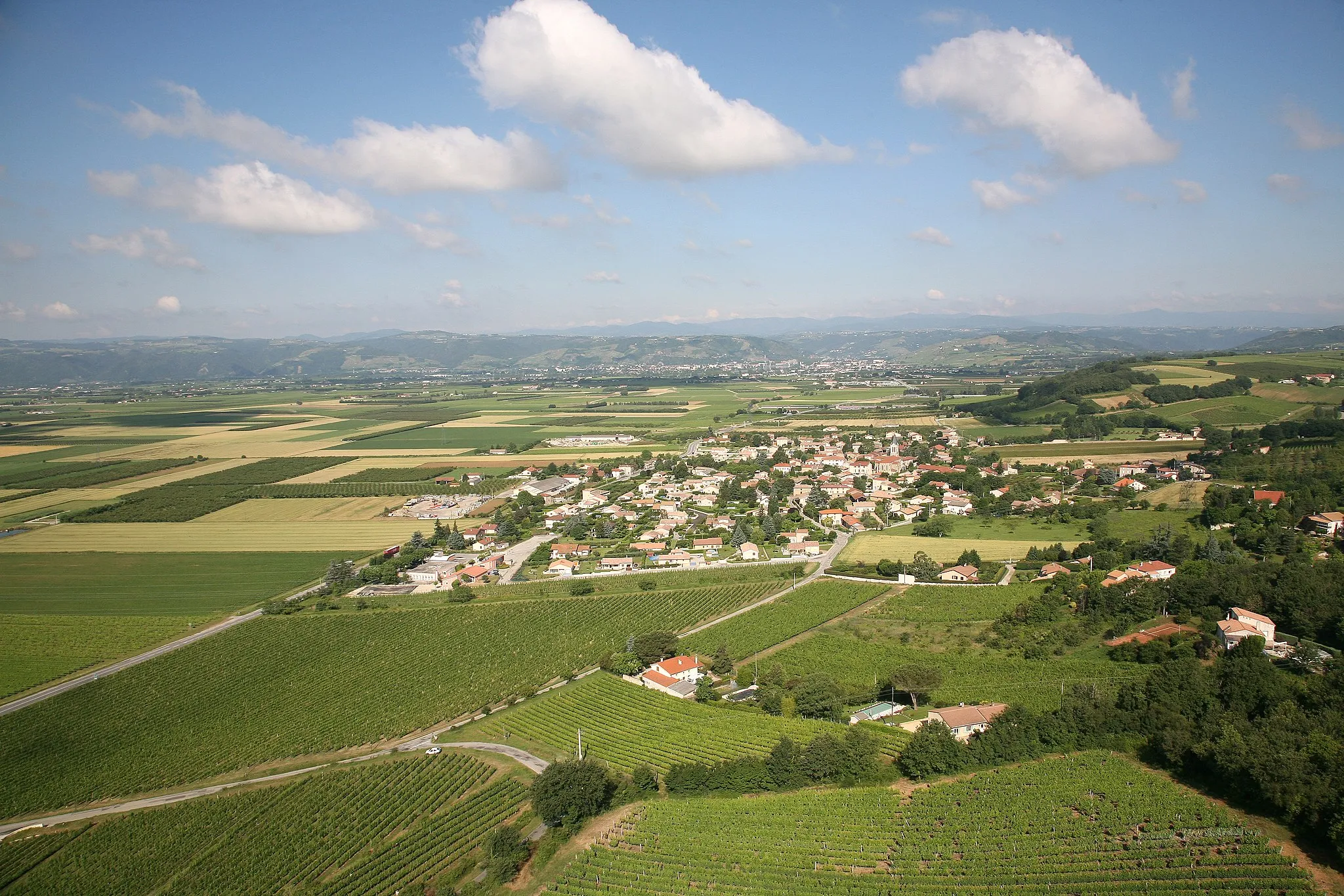 Photo showing: les vignes de Chanos-Curson