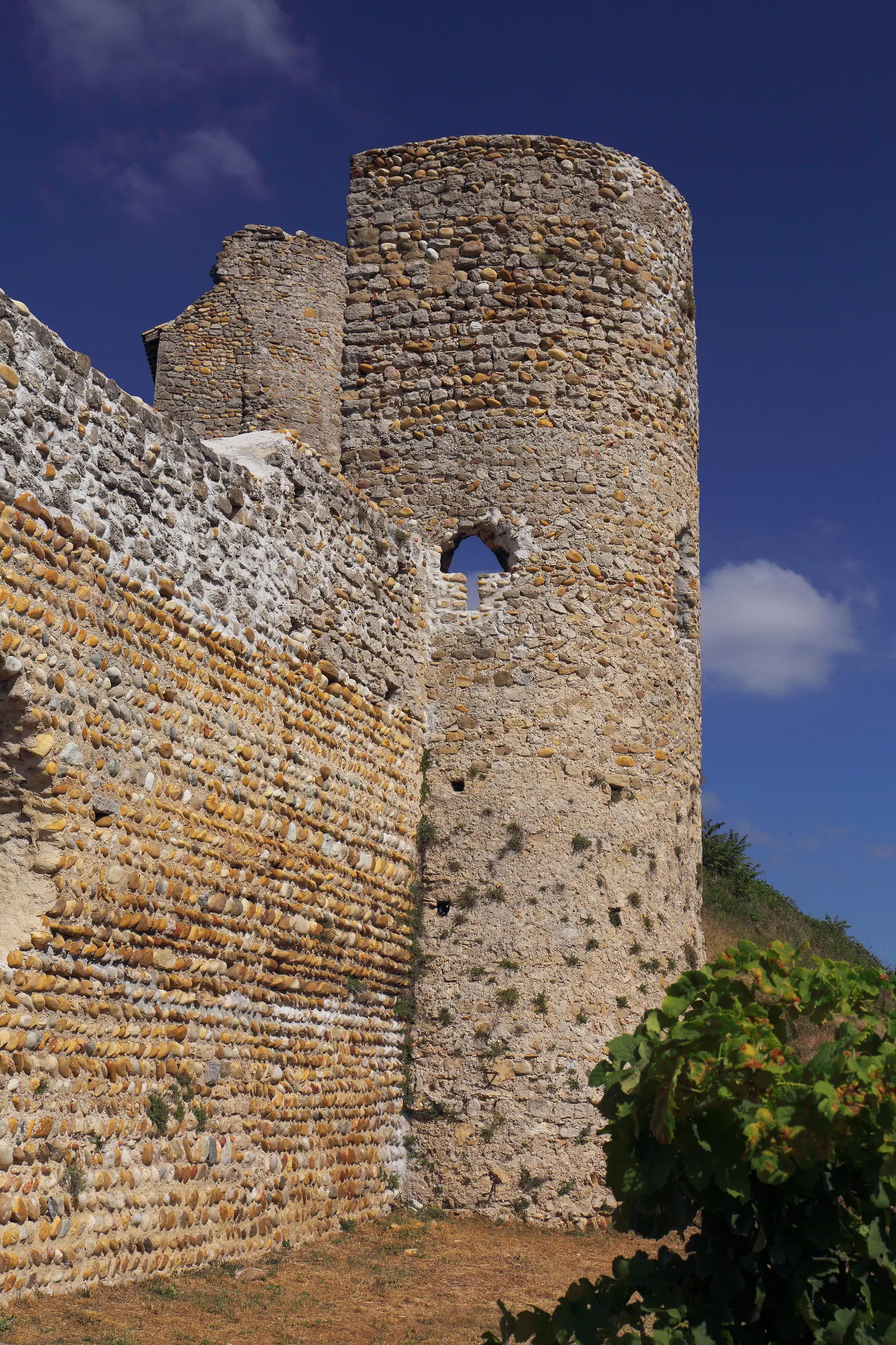 Photo showing: Ruines du château de Mercurol