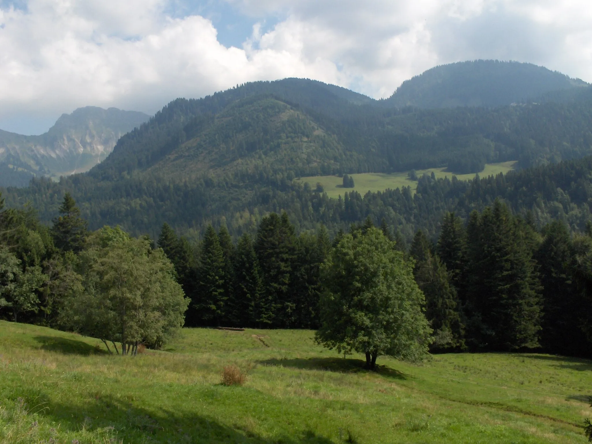 Photo showing: Les Paccots - Fribourg