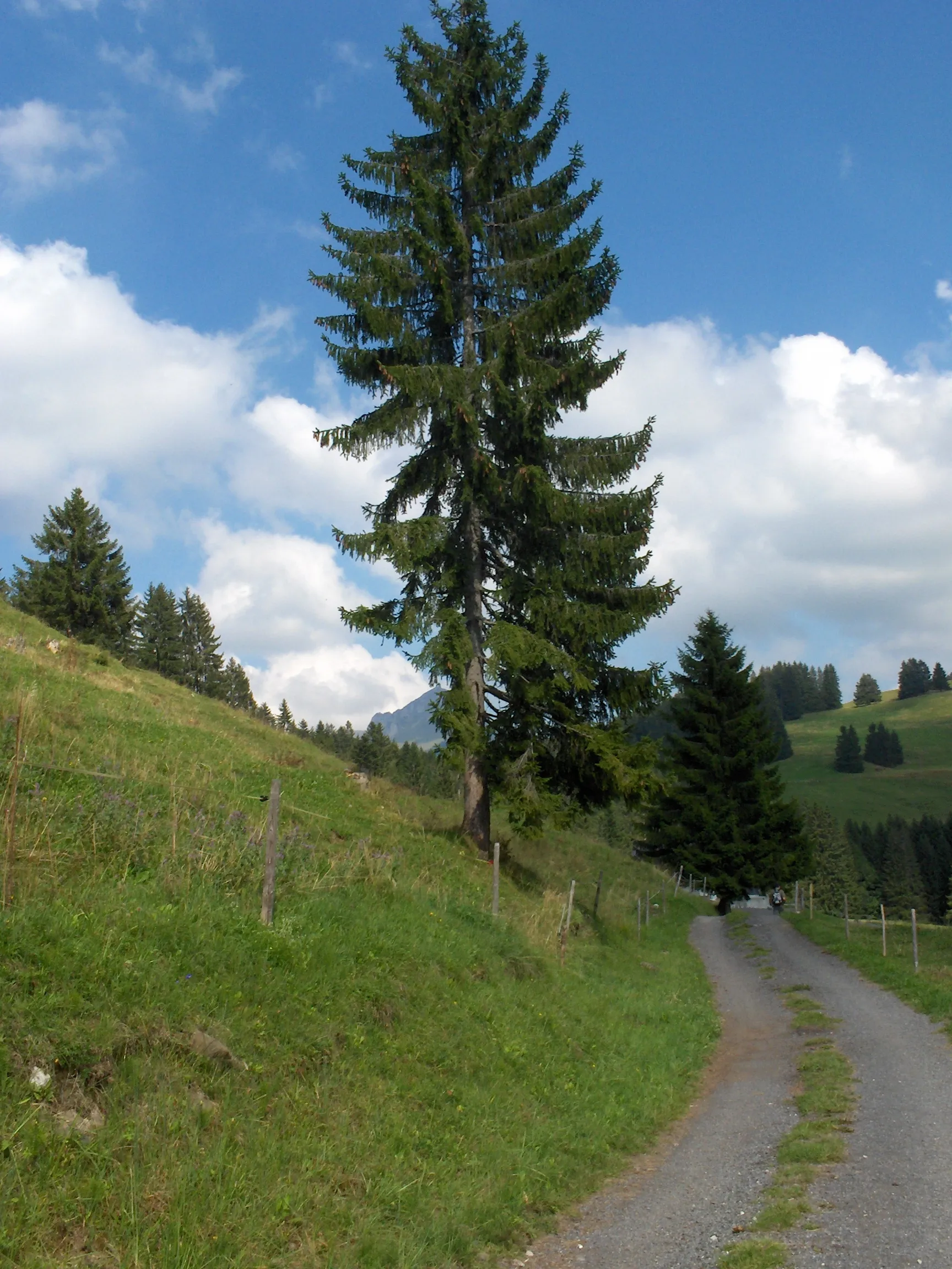 Photo showing: Les Paccots - Fribourg