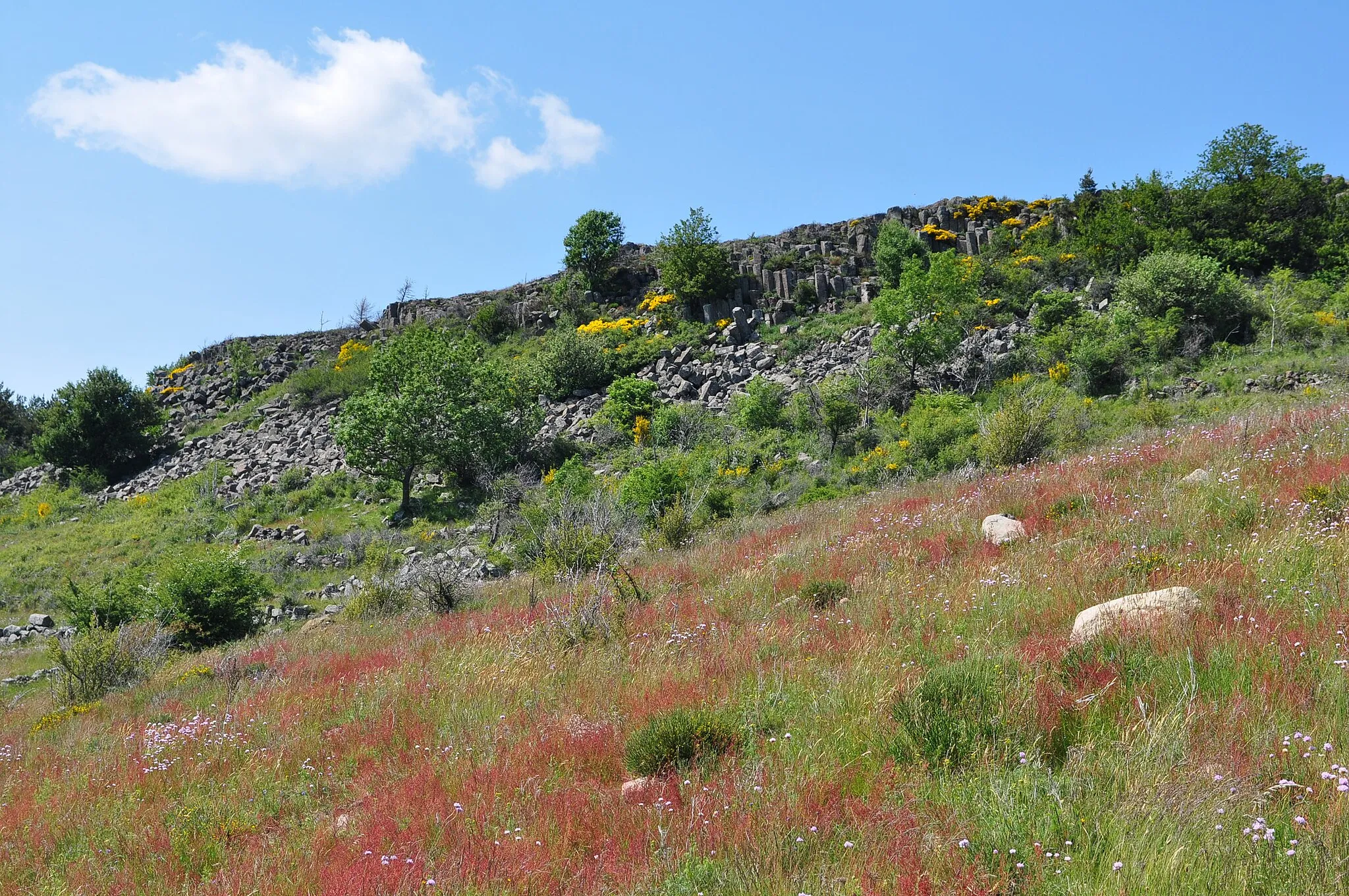 Photo showing: Le Serre de Pal et ses orgues basaltiques