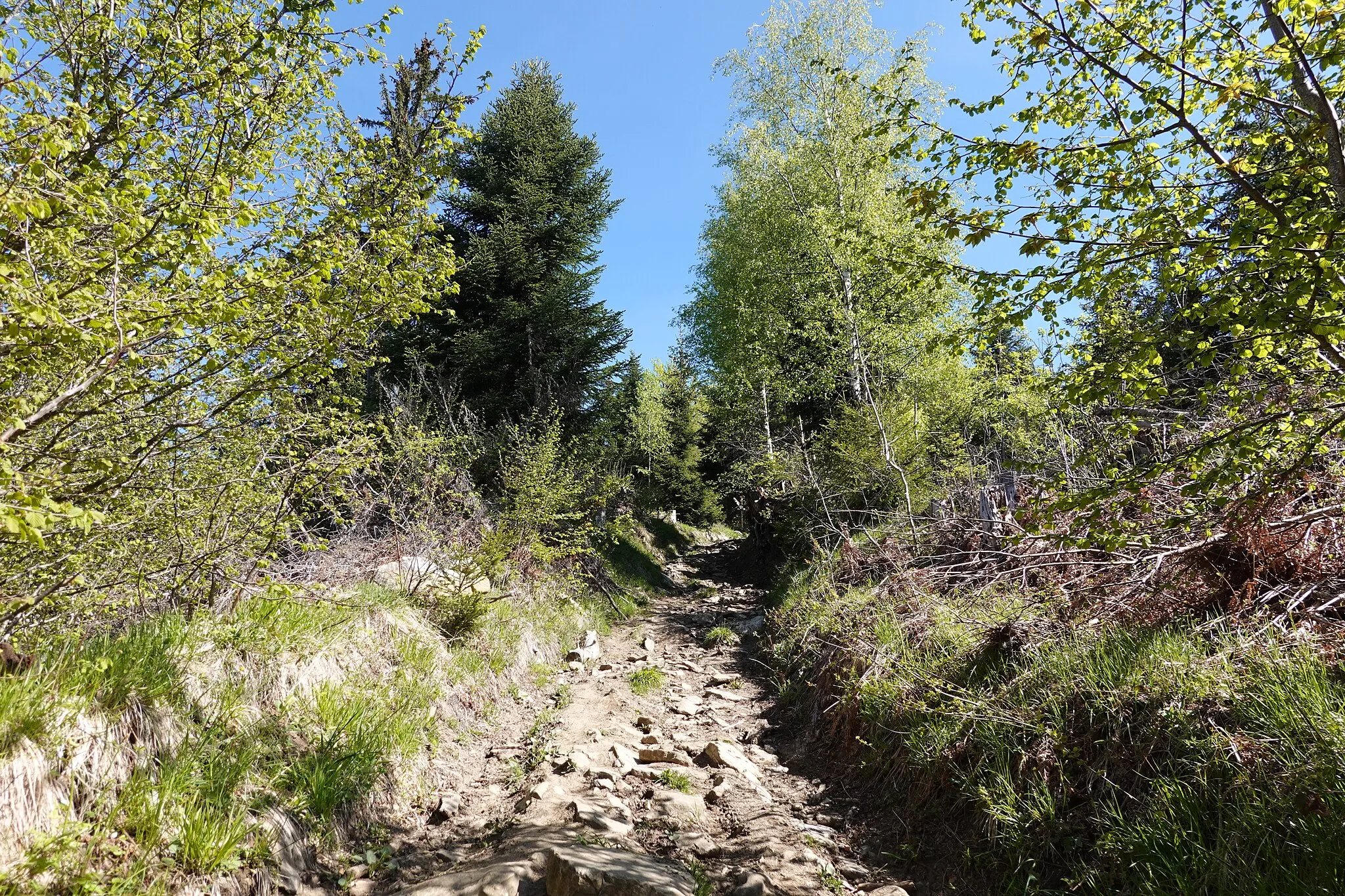 Photo showing: Montagne des Voirons