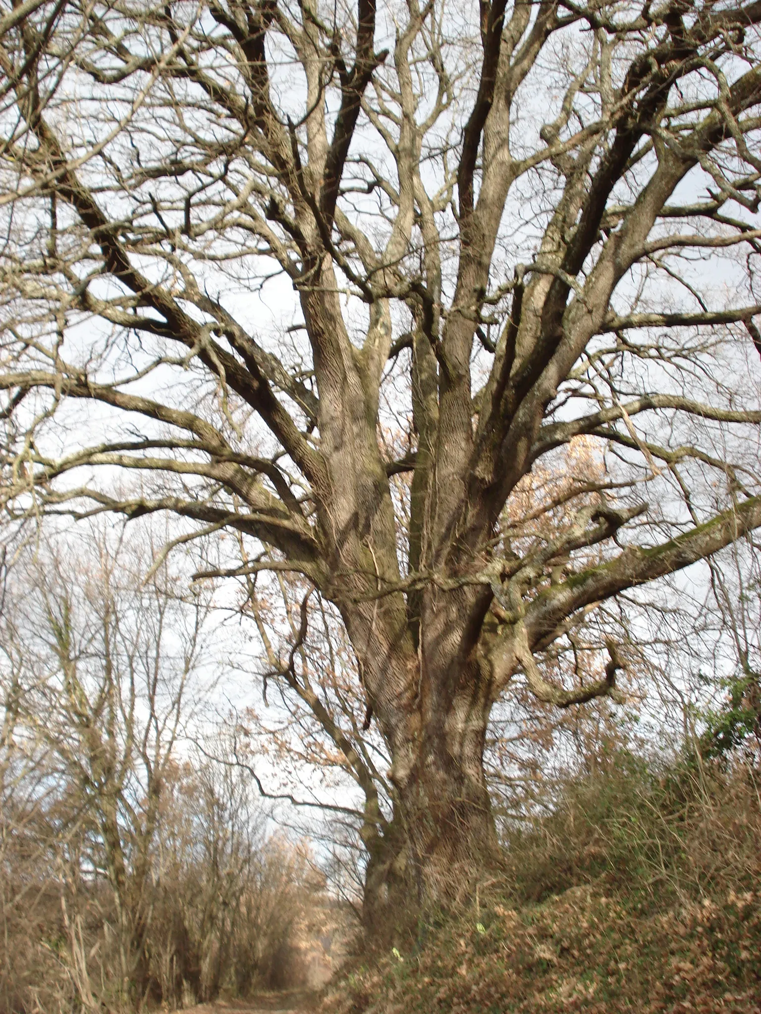 Photo showing: Patrimoine naturel